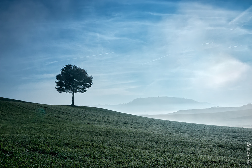 Tokina AT-X Pro 12-24mm F4 (IF) DX sample photo. Niebla photography