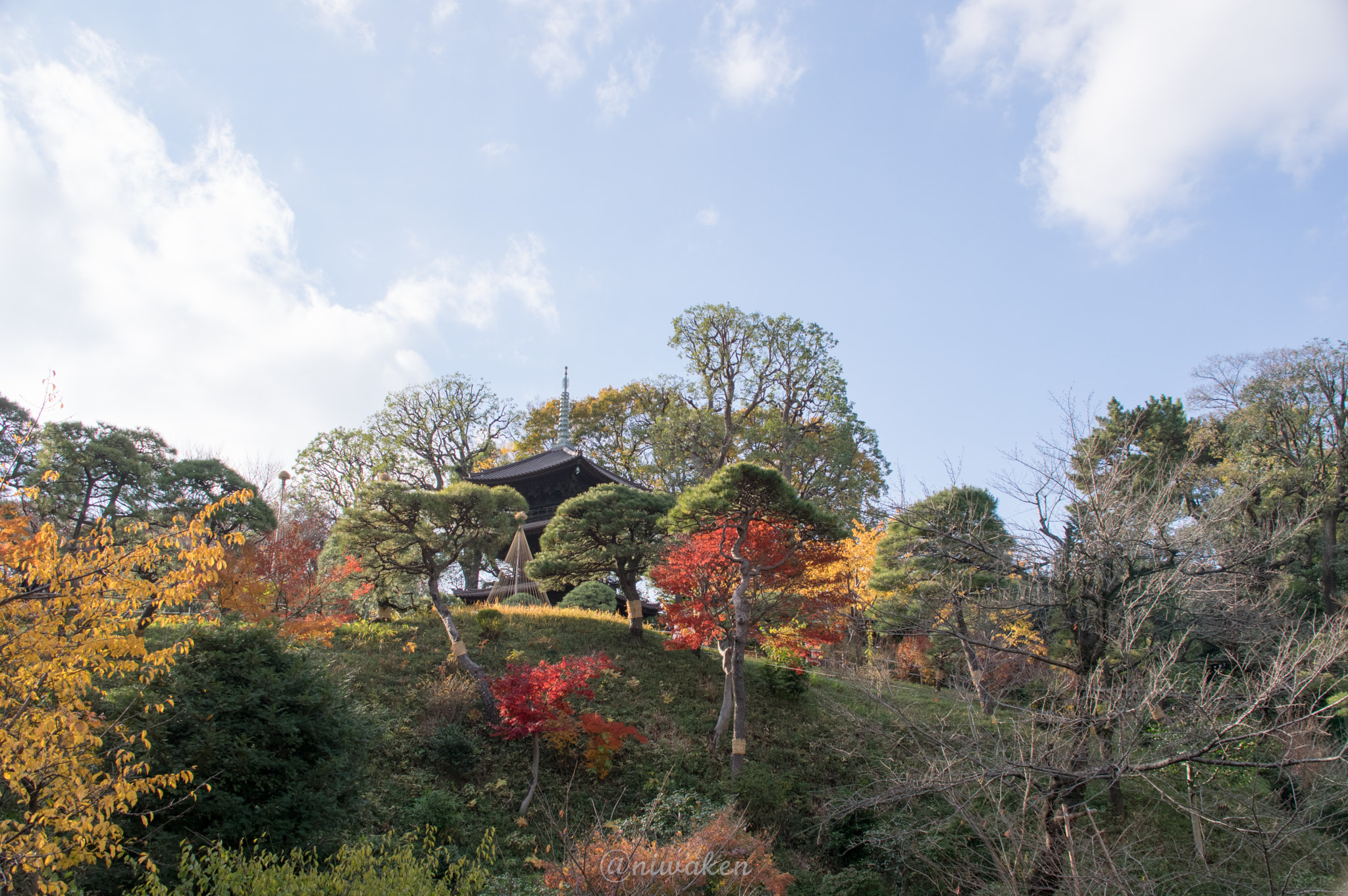 Sigma 18-300mm F3.5-6.3 DC Macro HSM sample photo. Japanese triple tower photography