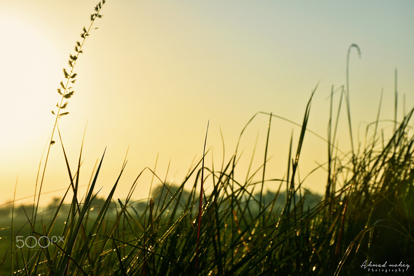 Sigma 28-300mm F3.5-6.3 DG Macro sample photo. Sunrise photography