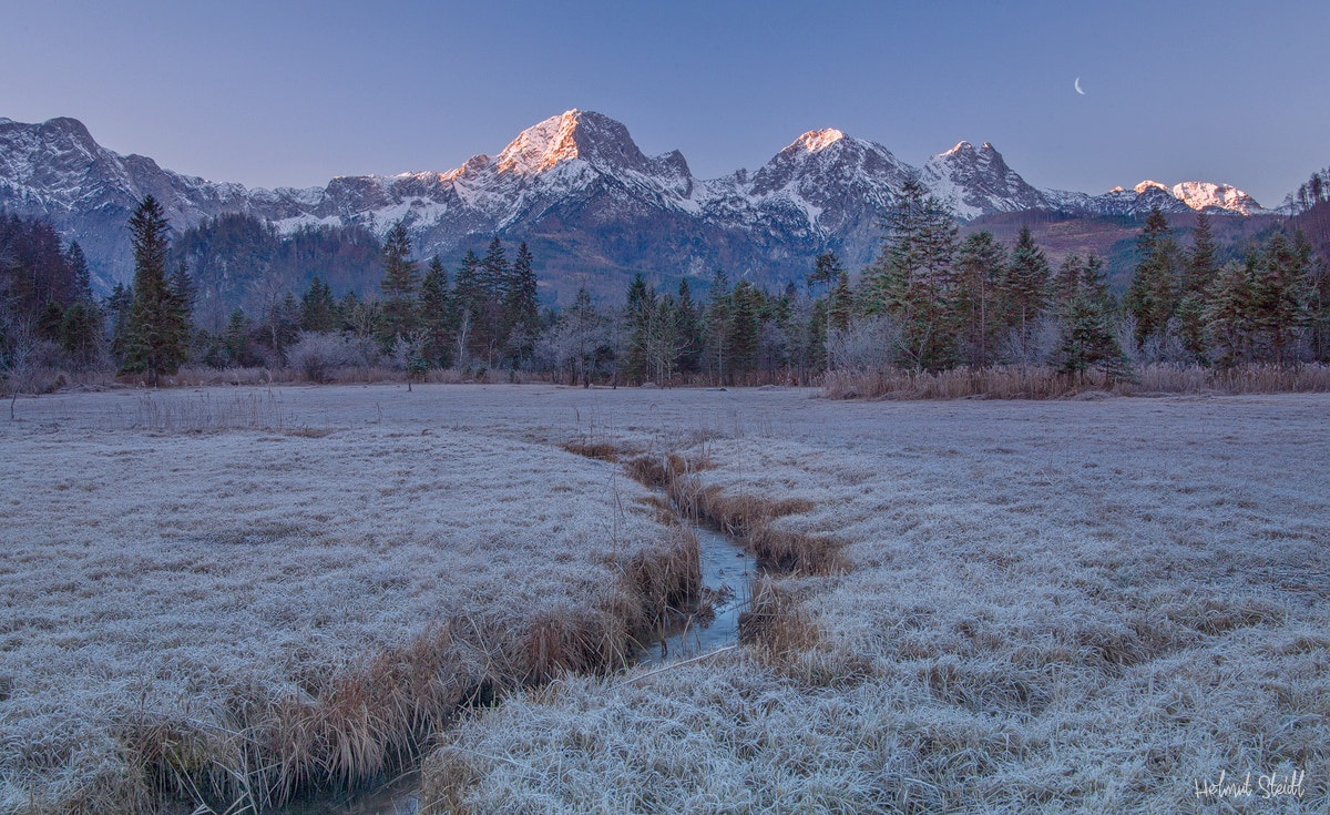 Canon EOS-1D Mark III sample photo. Frosty morning photography