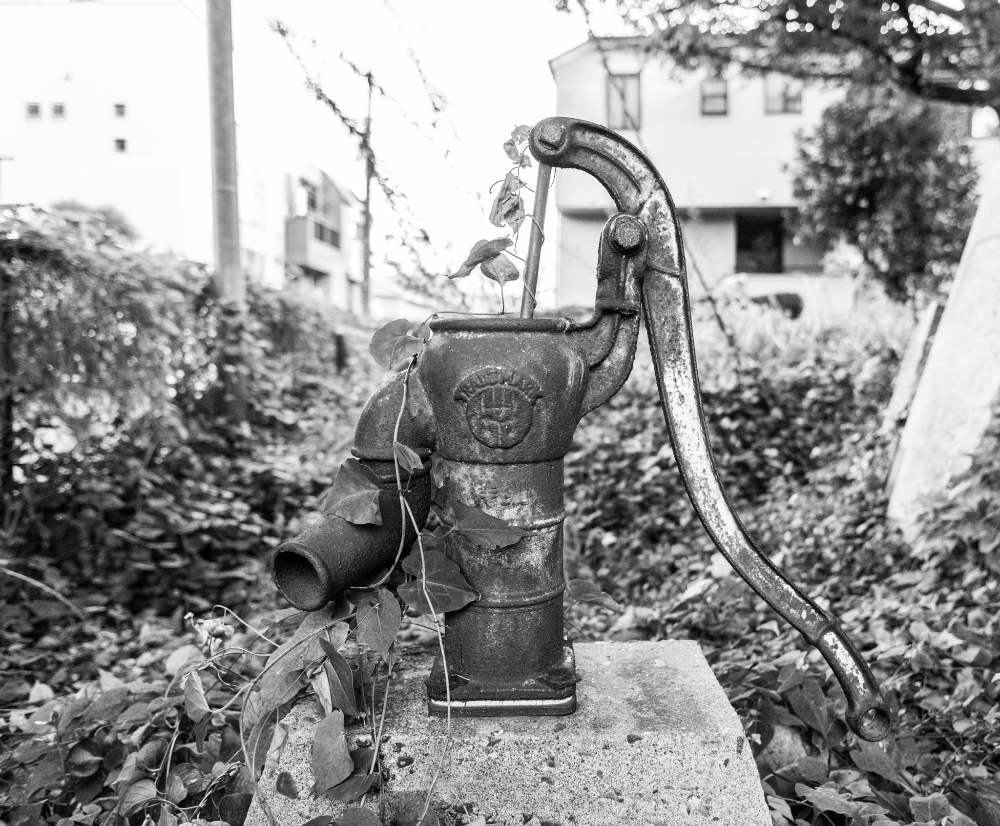 Nikon D810 + Nikon AF Nikkor 24mm F2.8D sample photo. Temple water pump photography