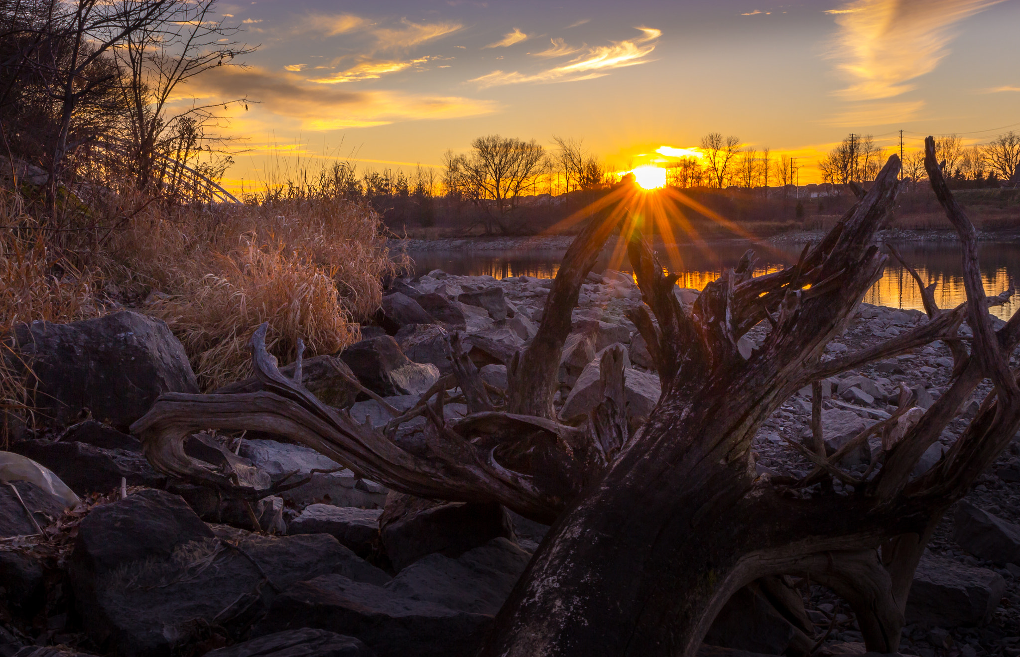Canon EF 24-70mm F4L IS USM sample photo. Rideau photography