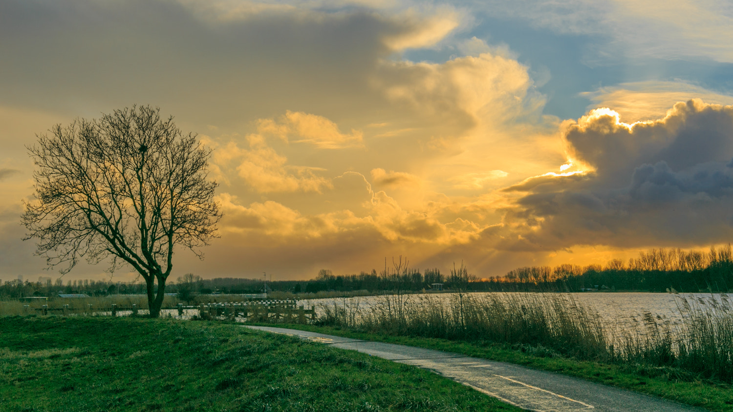 ZEISS Makro-Planar T* 50mm F2 sample photo. Rainclouds photography