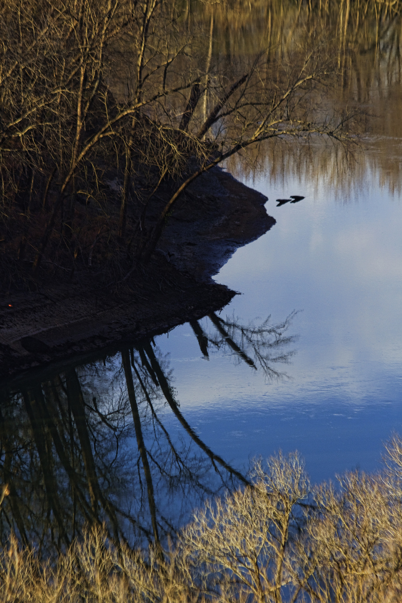 Canon EF 70-300mm F4-5.6 IS USM sample photo. Meramec lines photography
