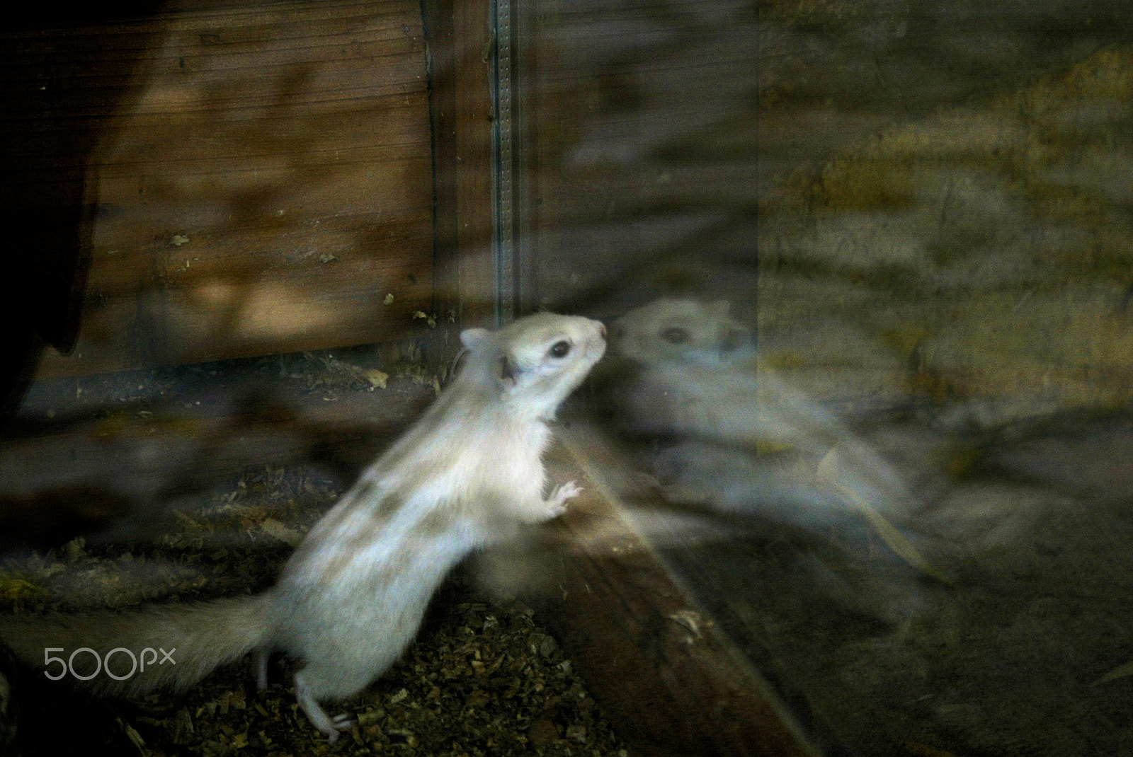 Canon EOS-1D sample photo. 640f4577.jpg photography