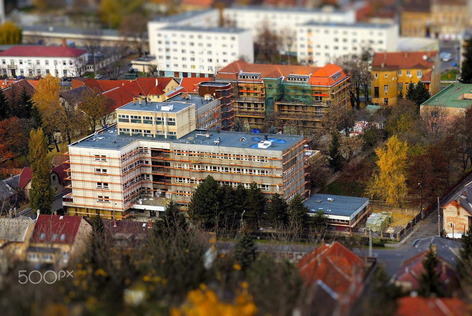 Canon EOS-1D sample photo. Fókusz photography