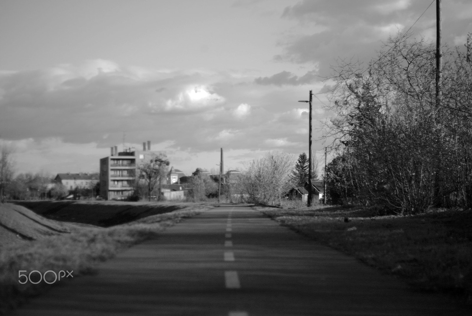 Canon EOS-1D sample photo. 640f5789.jpg photography