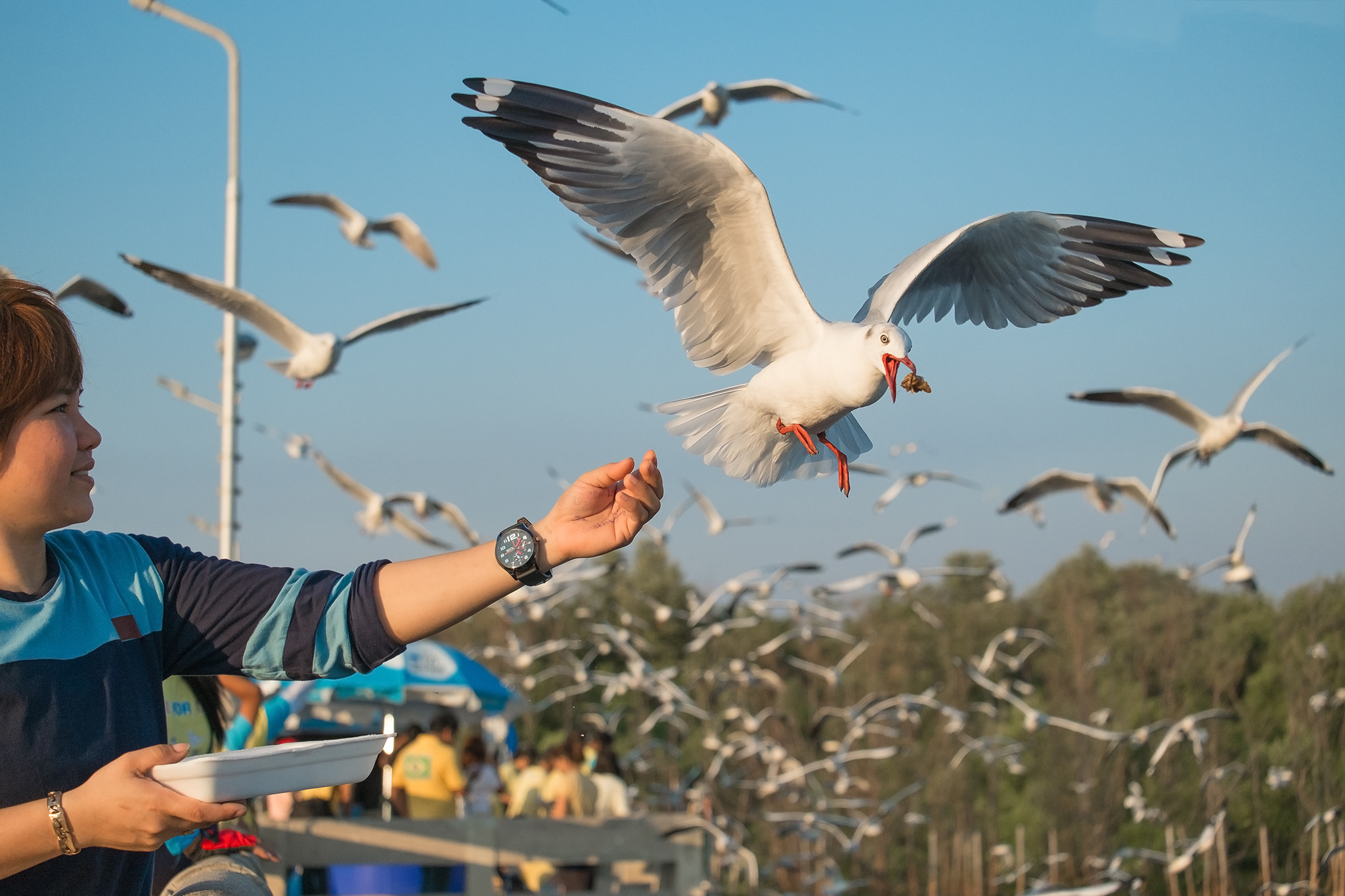 Fujifilm X-M1 + Fujifilm XC 50-230mm F4.5-6.7 OIS II sample photo. Feeding photography