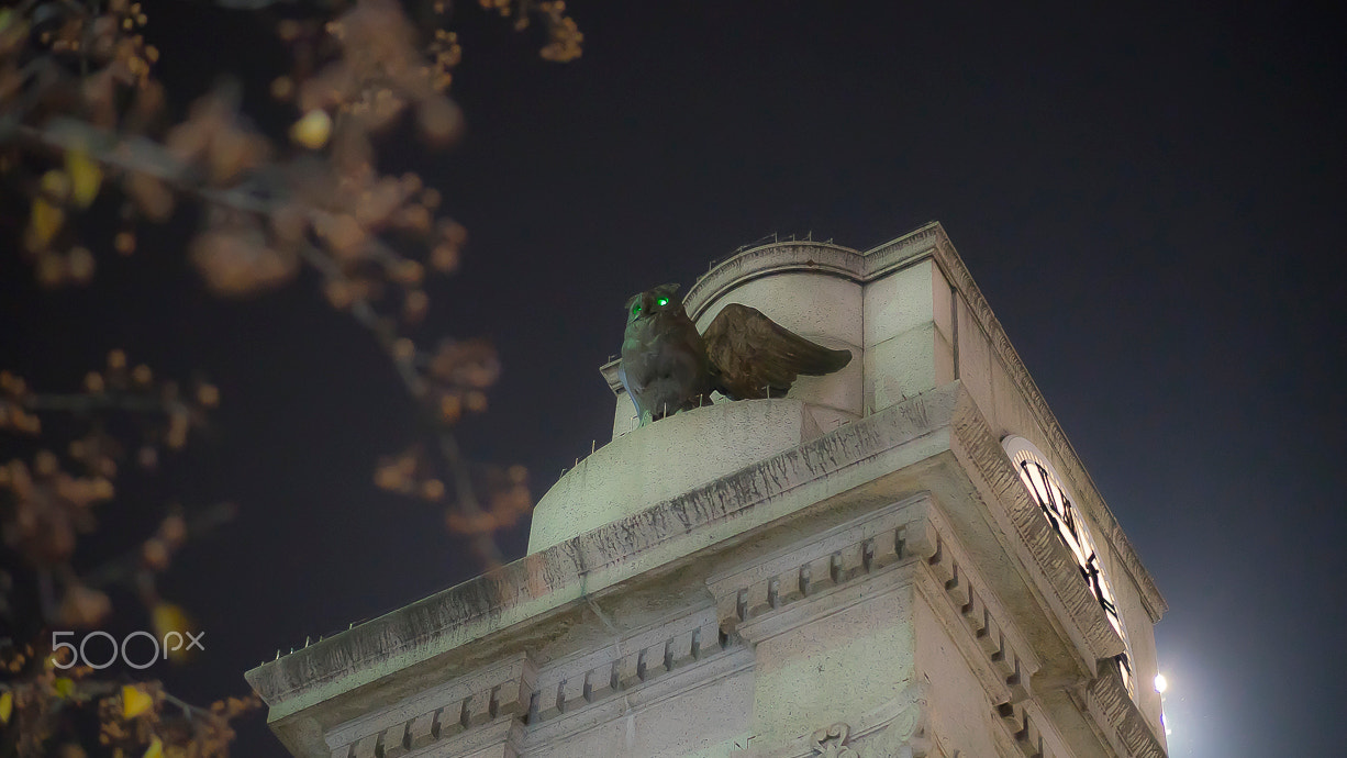 E 50mm F1.8 OSS sample photo. Nyc 2015 photography