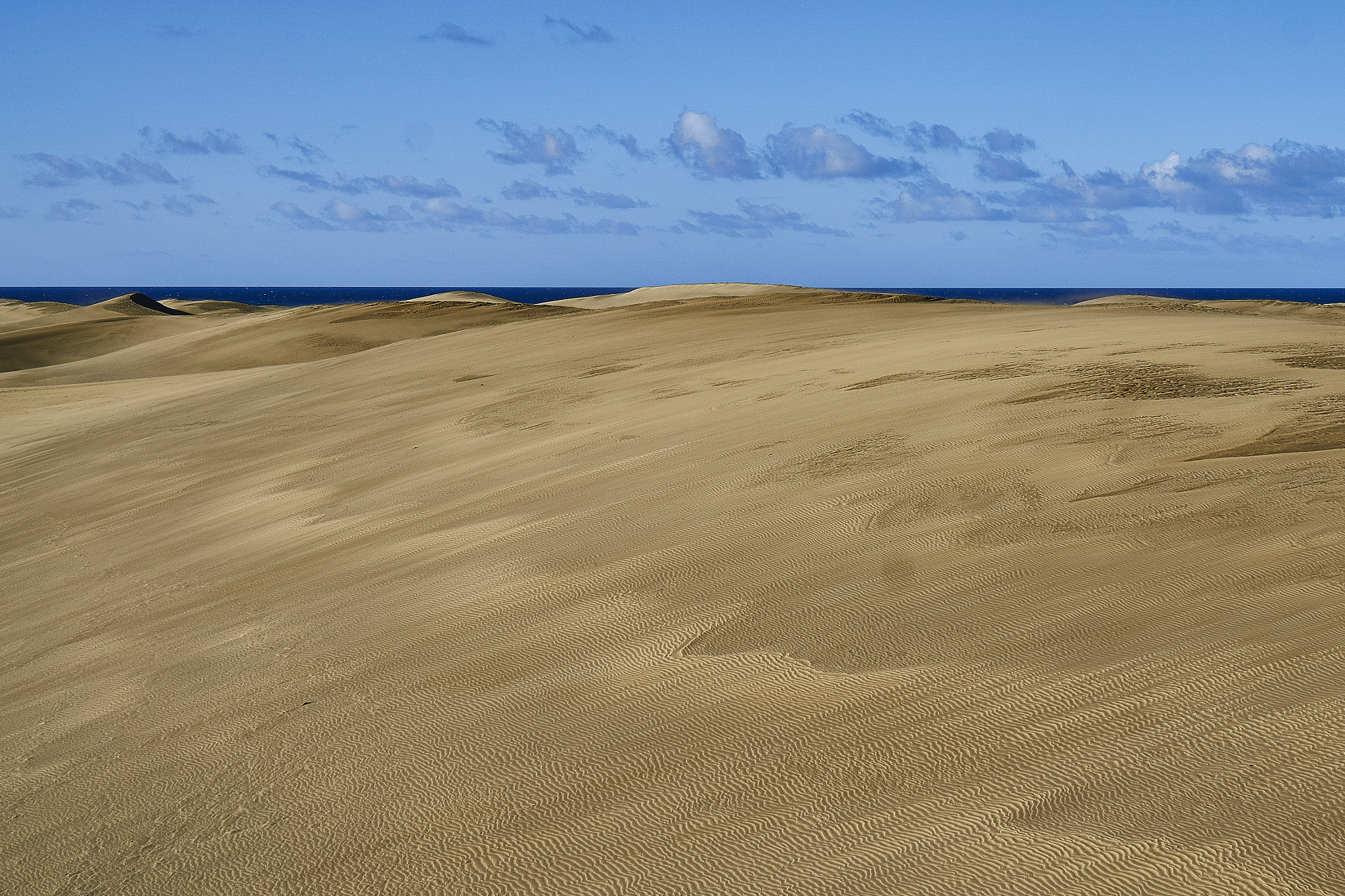 Sony a5100 + Sony E 35mm F1.8 OSS sample photo. Dunas from maspalomas photography