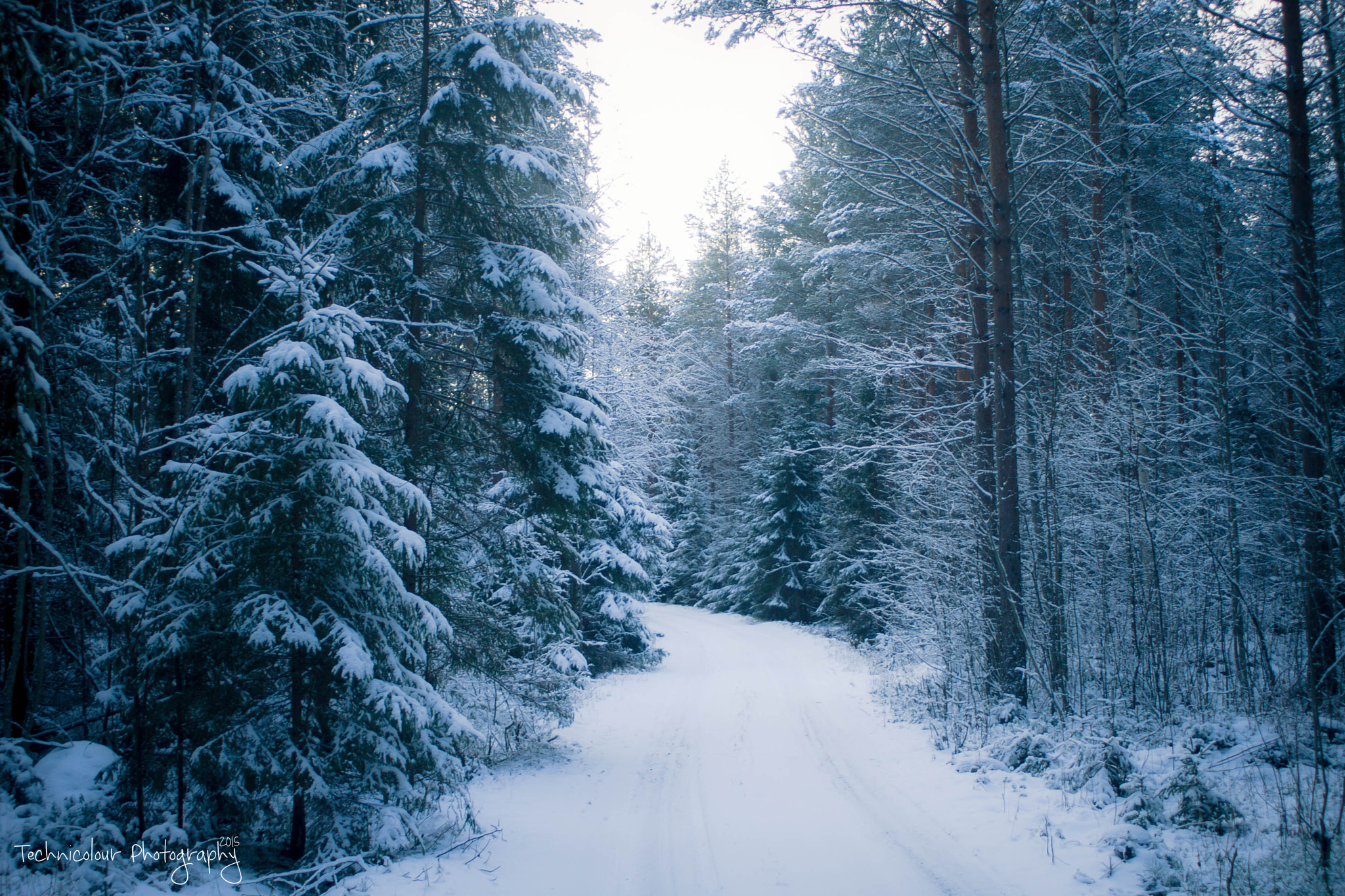 Canon EF 28-80mm f/3.5-5.6 sample photo. Oi joulunajan ihmiset photography