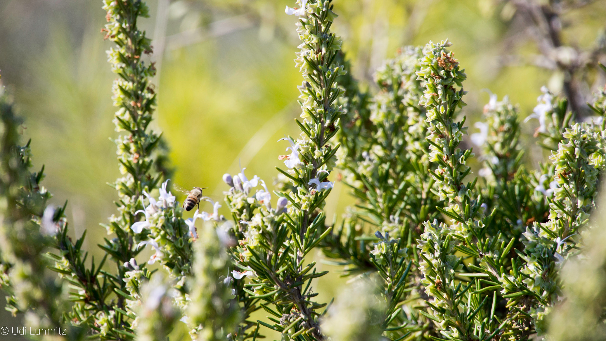 Tamron 14-150mm F3.5-5.8 Di III sample photo. Zoom zoom... photography