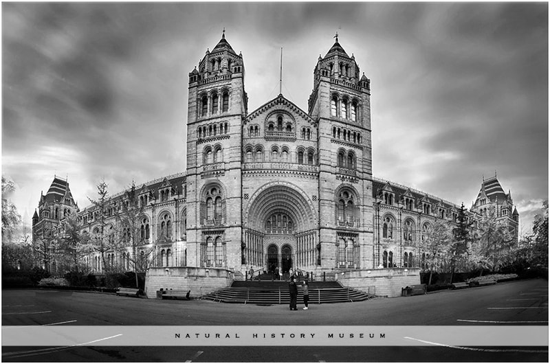 Sigma 12-24mm F4.5-5.6 EX DG Aspherical HSM sample photo. Natural history museum london photography