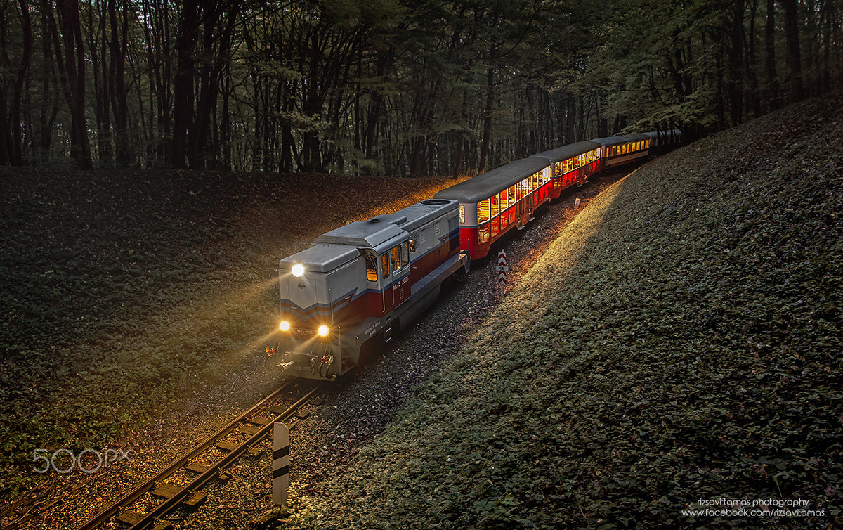 Sigma 20mm EX f/1.8 sample photo. Forest train photography
