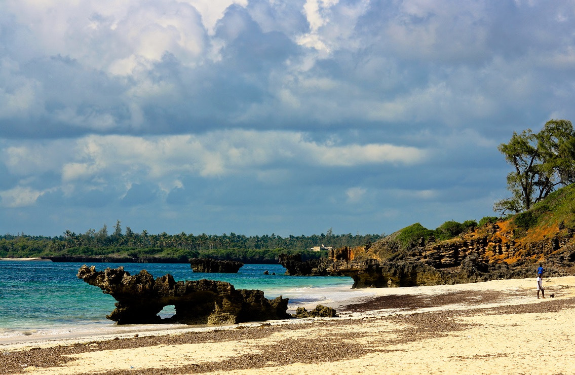 Canon EOS 1000D (EOS Digital Rebel XS / EOS Kiss F) sample photo. Watamu photography