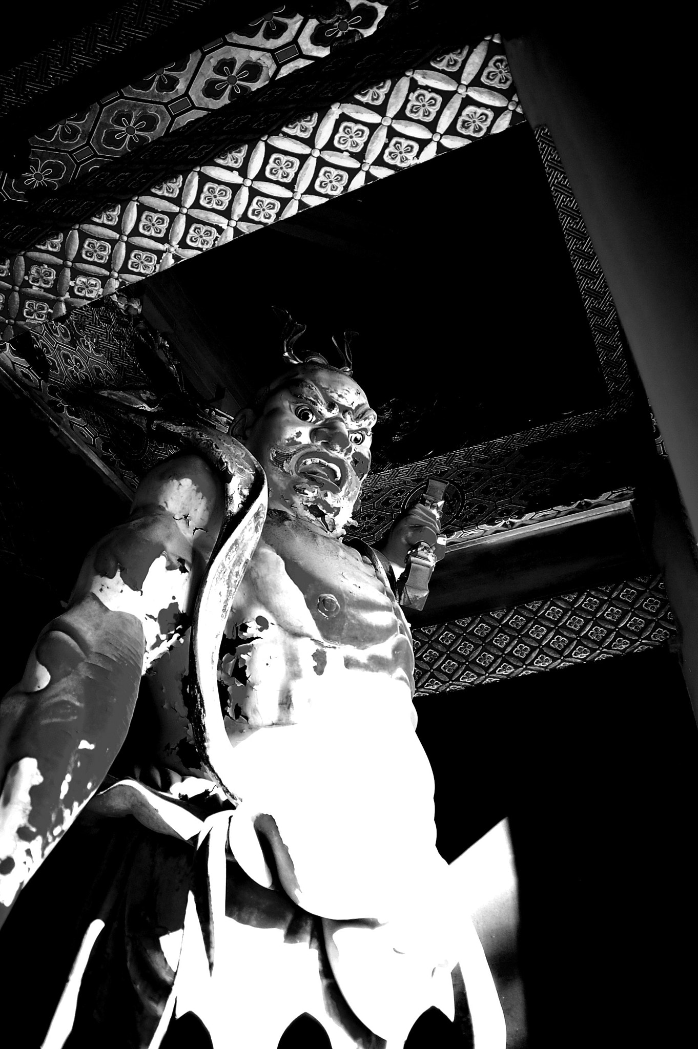 Nikon D40 sample photo. 4.jpg photography