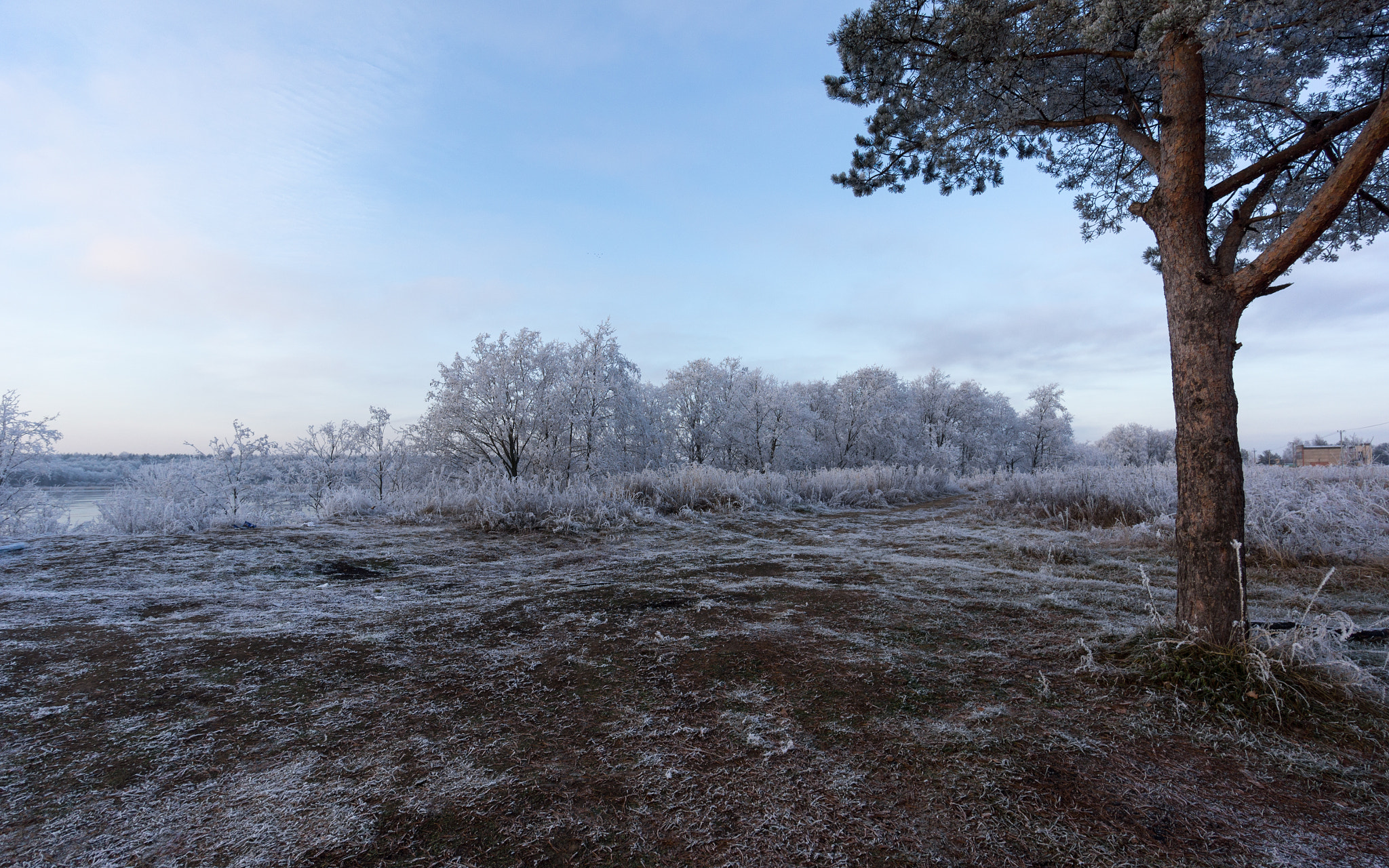 Sony Alpha NEX-5N + Sony E 10-18mm F4 OSS sample photo. The first frost. photography