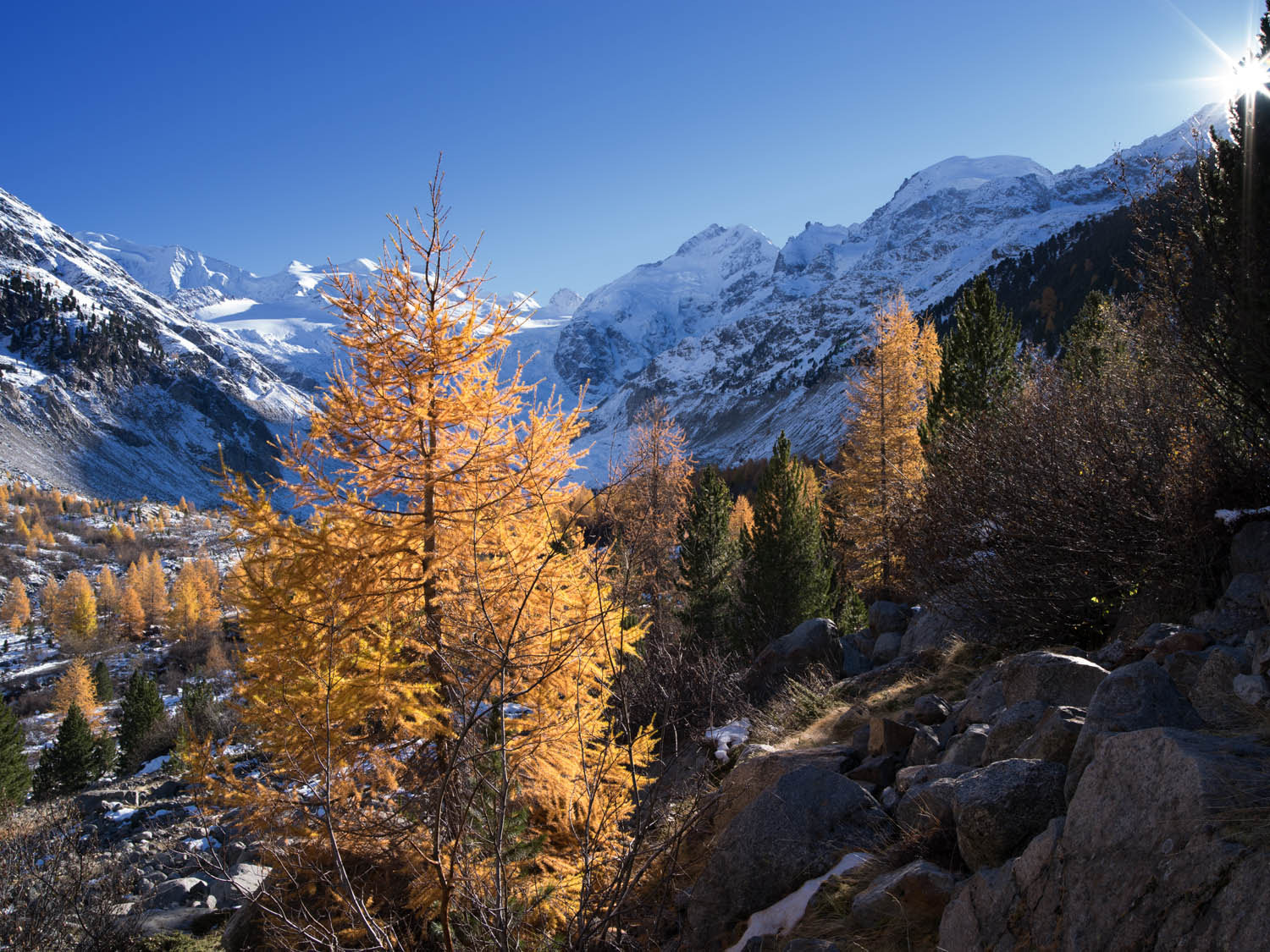 Pentax 645Z sample photo. Val morteratsch photography