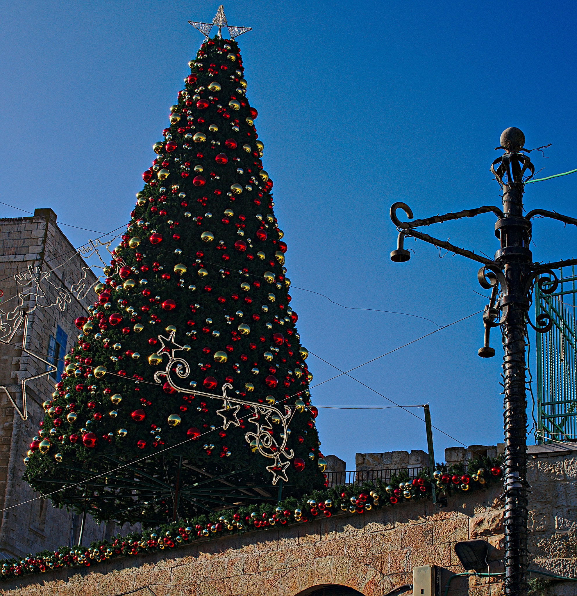 Sony Alpha NEX-5N + Sigma 30mm F2.8 EX DN sample photo. The season is coming... photography