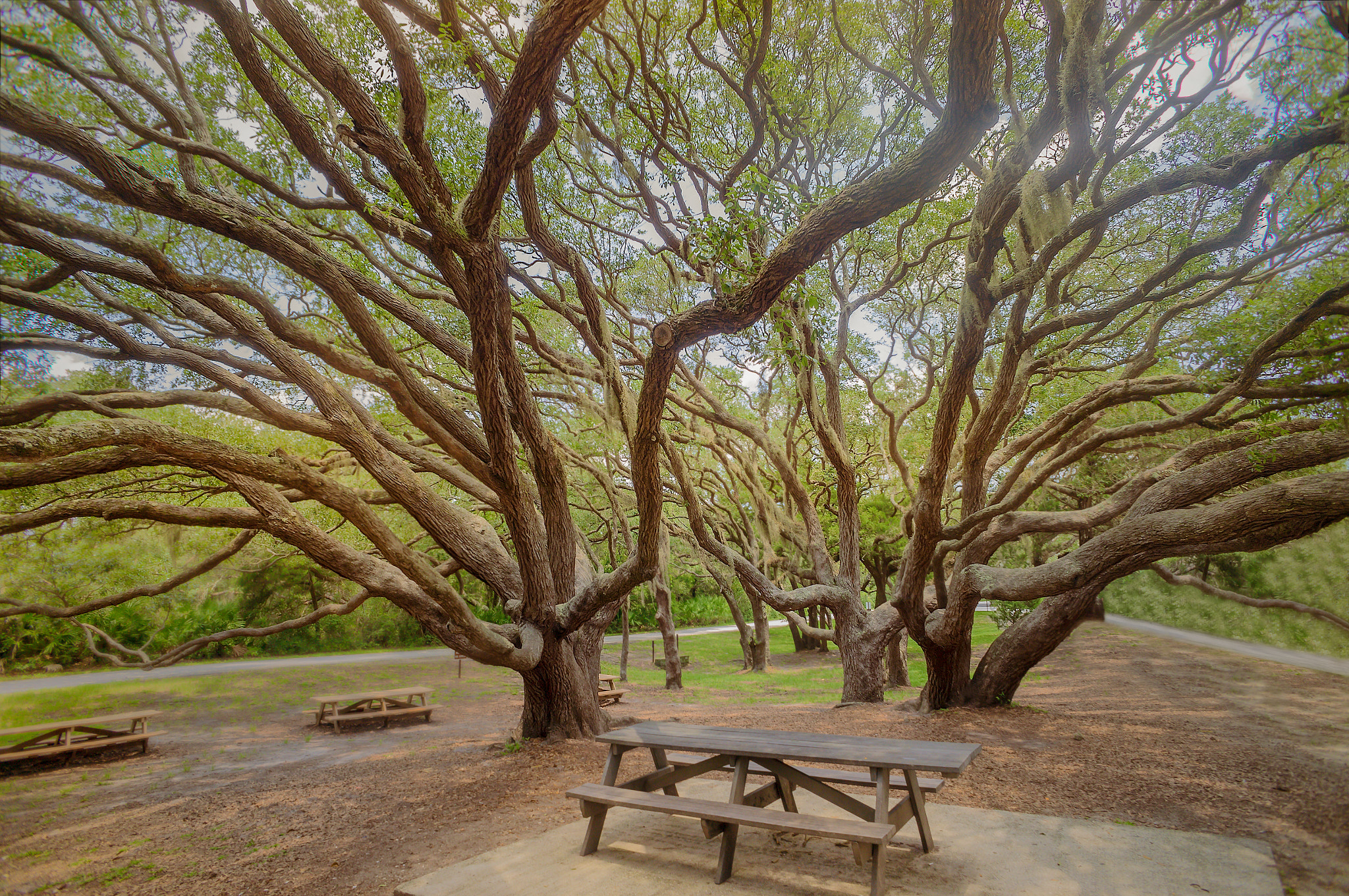 Sony Alpha NEX-C3 + Sony E 16mm F2.8 sample photo. California, usa photography