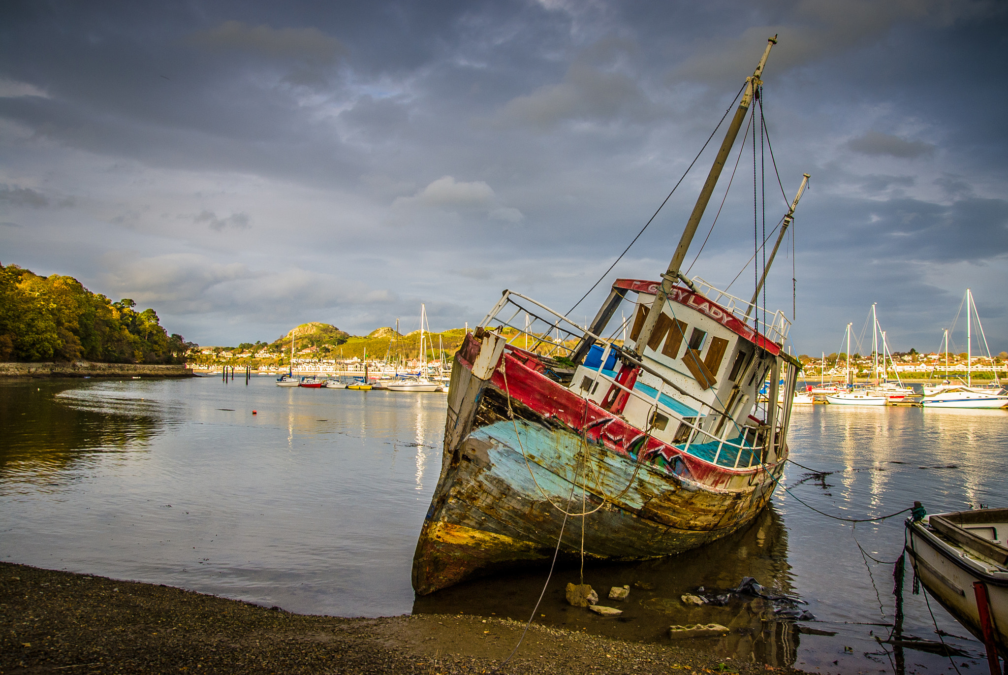 Sony Alpha DSLR-A300 sample photo. Grey lady photography