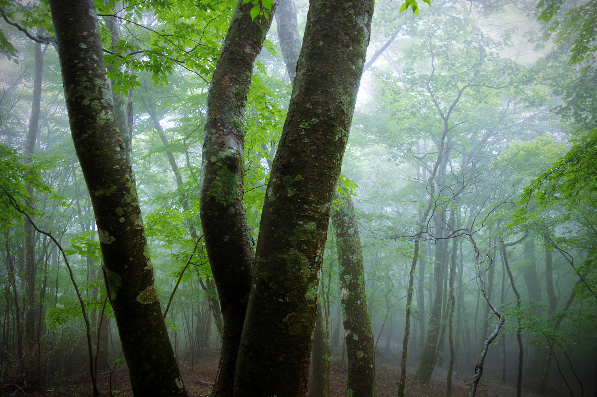 Pentax K-3 sample photo. Kitashitara district / aichi prefecture photography