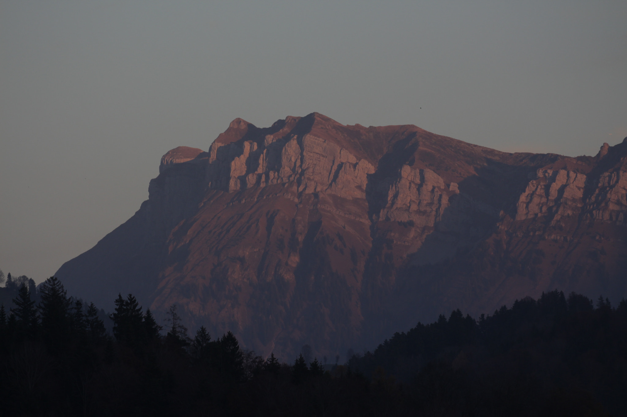 Canon EF 100-400mm F4.5-5.6L IS II USM sample photo. Hohgant photography