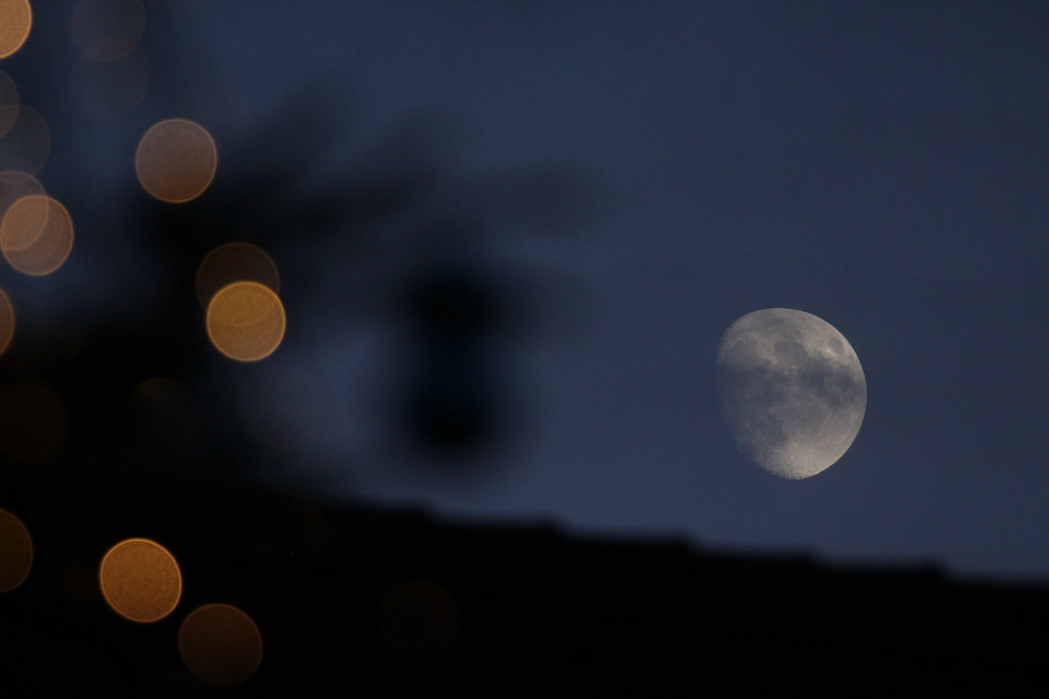 Canon EF 100-400mm F4.5-5.6L IS II USM sample photo. A giant comes up photography