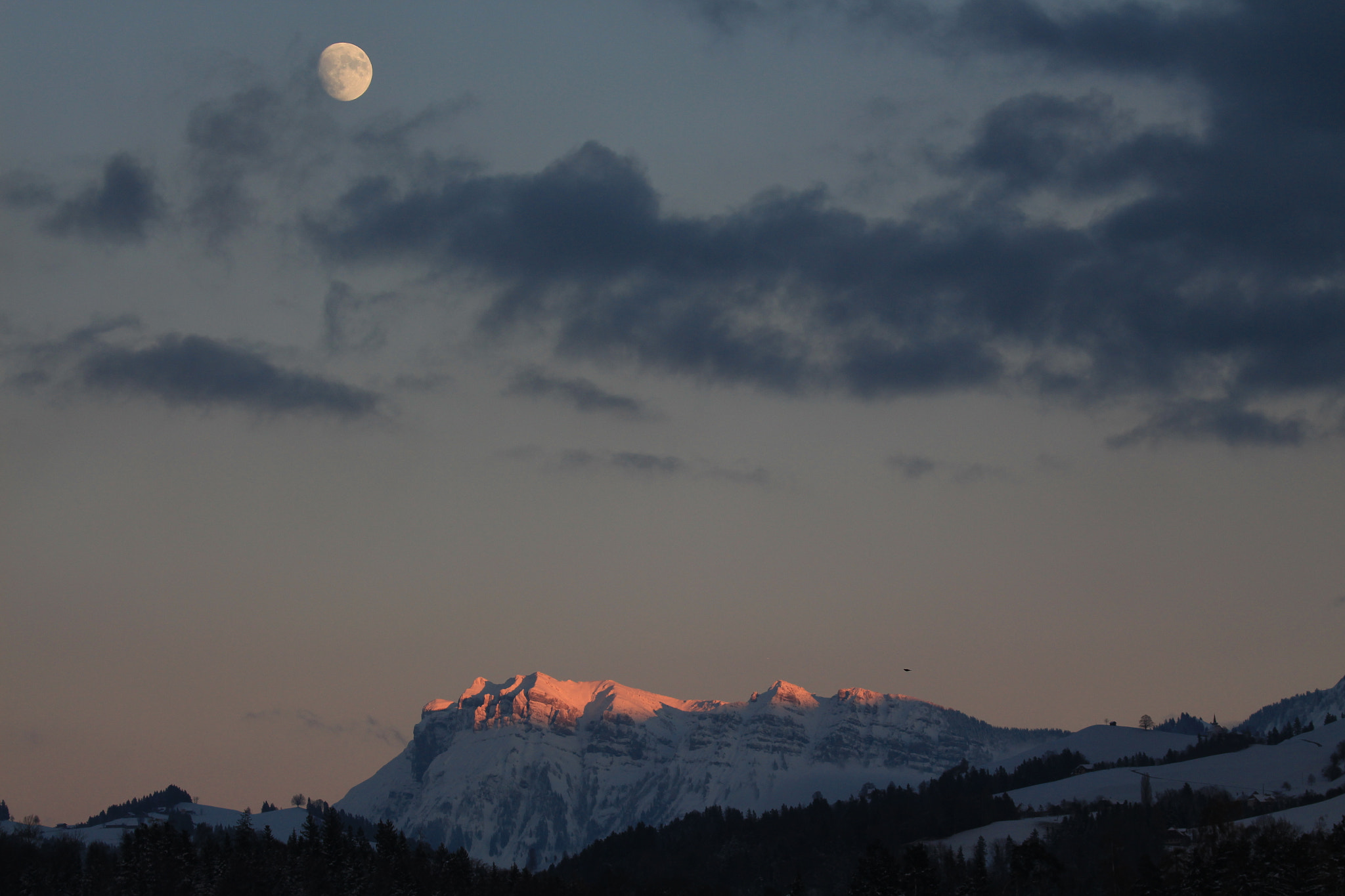 Canon EF 100-400mm F4.5-5.6L IS II USM sample photo. This is creation photography