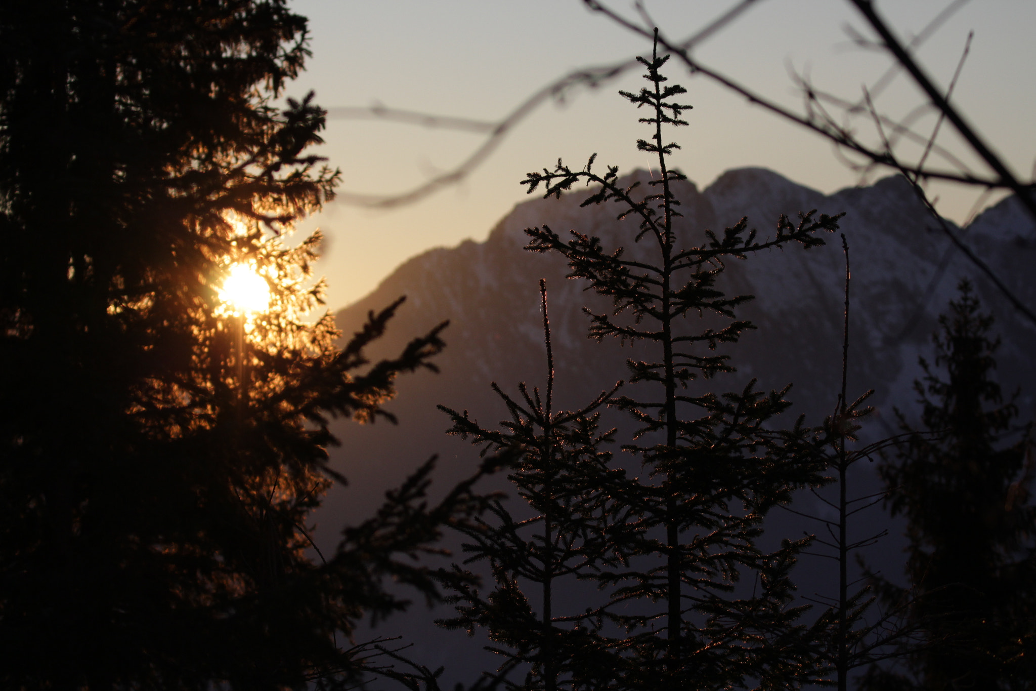 Canon EF 100-400mm F4.5-5.6L IS II USM sample photo. Sunset through firs photography