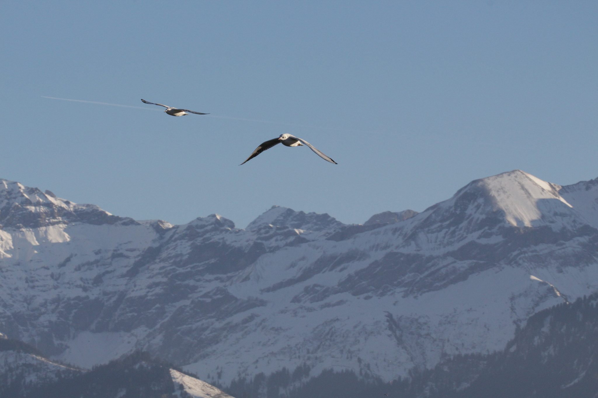 Canon EF 100-400mm F4.5-5.6L IS II USM sample photo. Above the alps photography