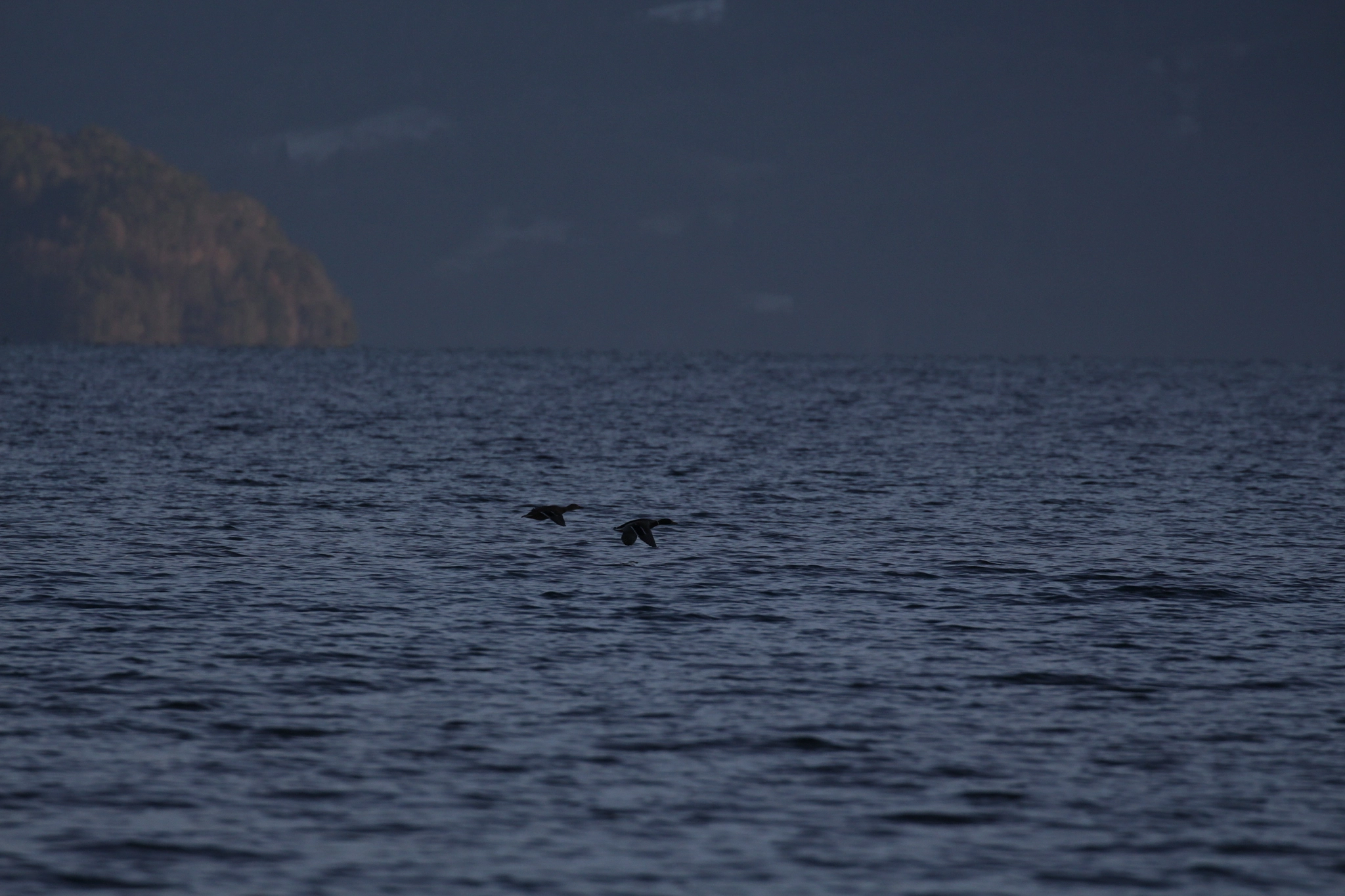 Canon EF 100-400mm F4.5-5.6L IS II USM sample photo. Fly over the lake photography