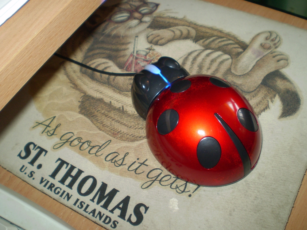 Olympus FE210,X775 sample photo. Party mouse support with ladybug photography