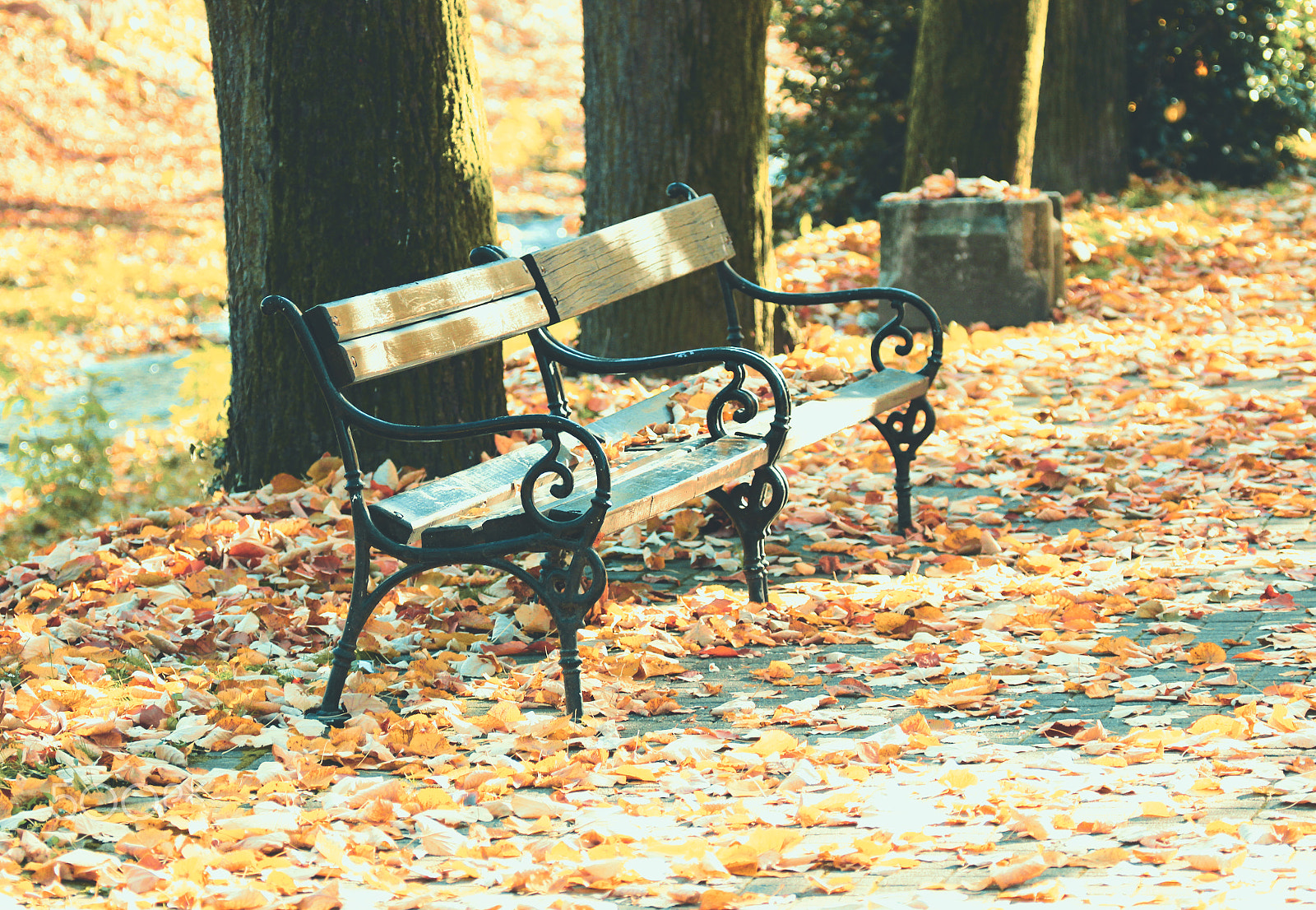 Canon EOS 600D (Rebel EOS T3i / EOS Kiss X5) + Canon EF 100-400mm F4.5-5.6L IS USM sample photo. Bench in autumn park photography