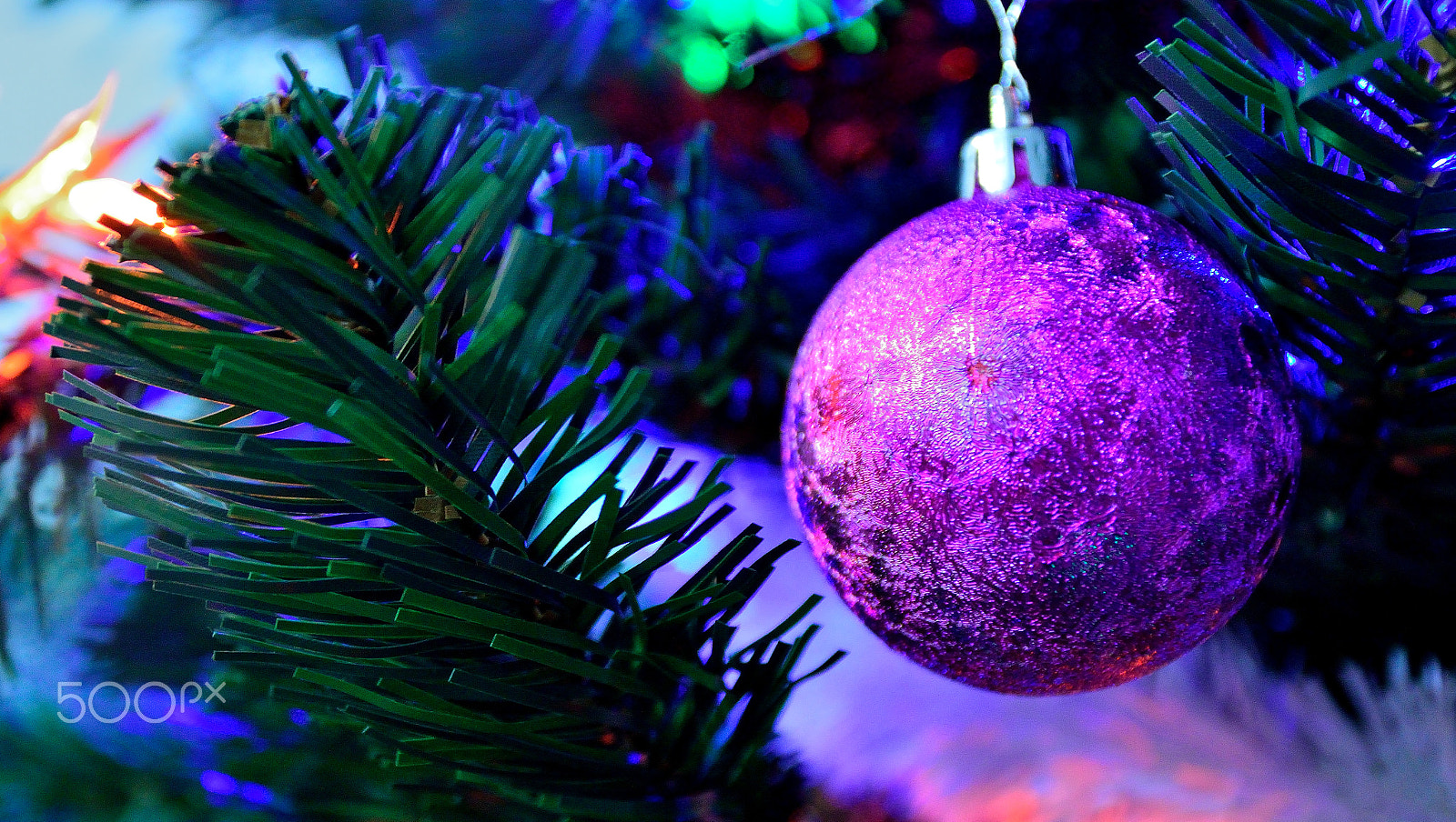 Sigma 17-70mm F2.8-4 DC Macro OS HSM | C sample photo. Christmas2 photography