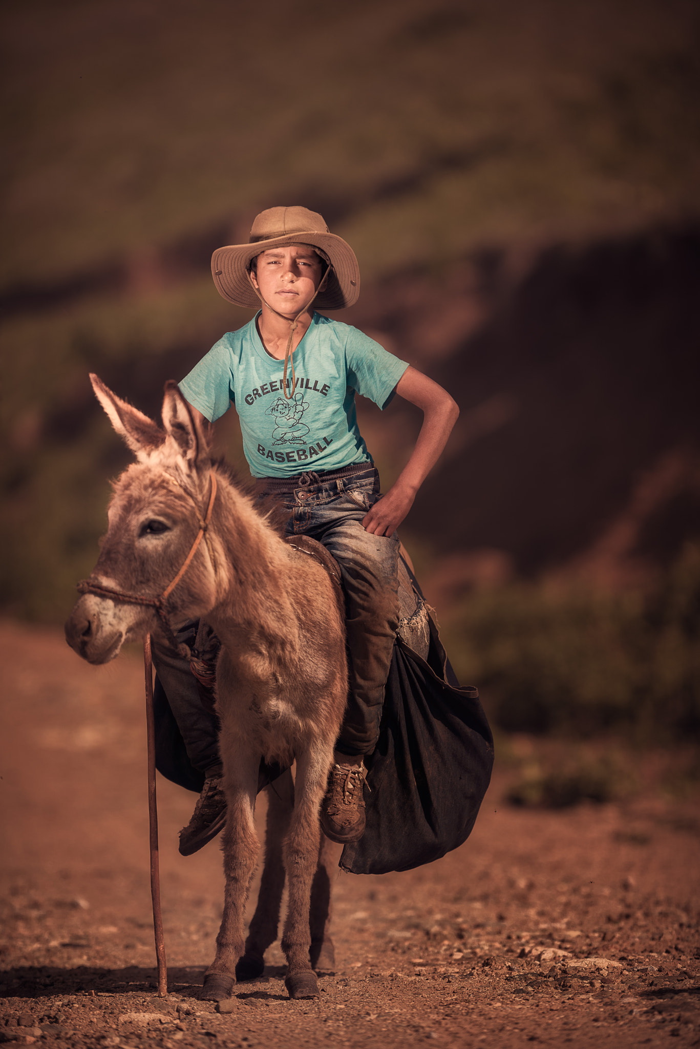 Nikon AF-S Nikkor 200mm F2G ED VR II sample photo. Donkeyboy photography