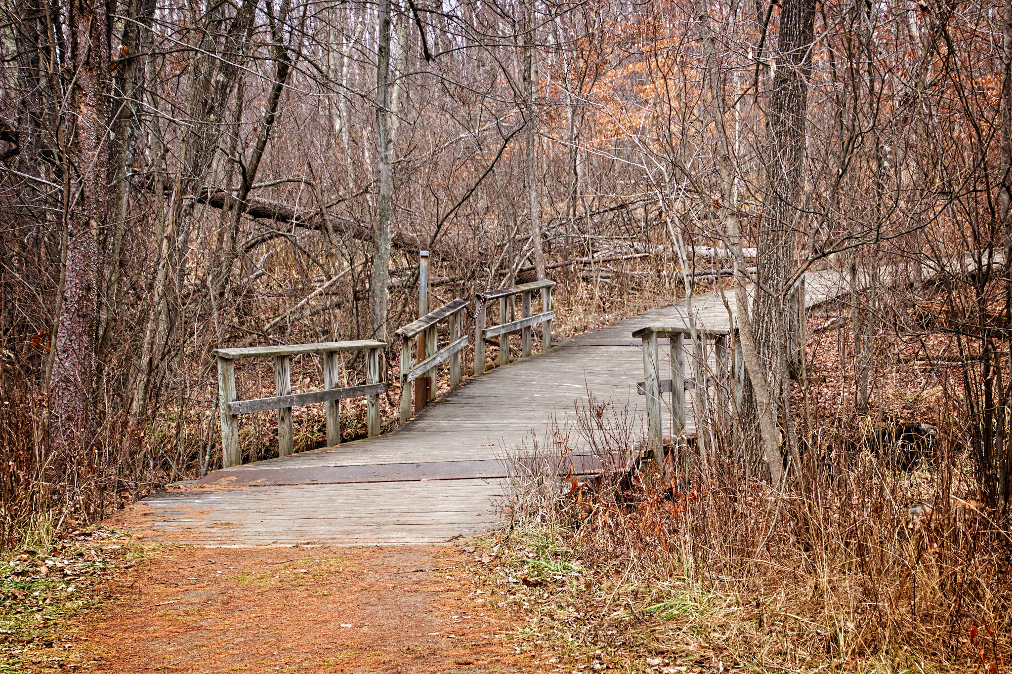 Woodland Trail Footbridge