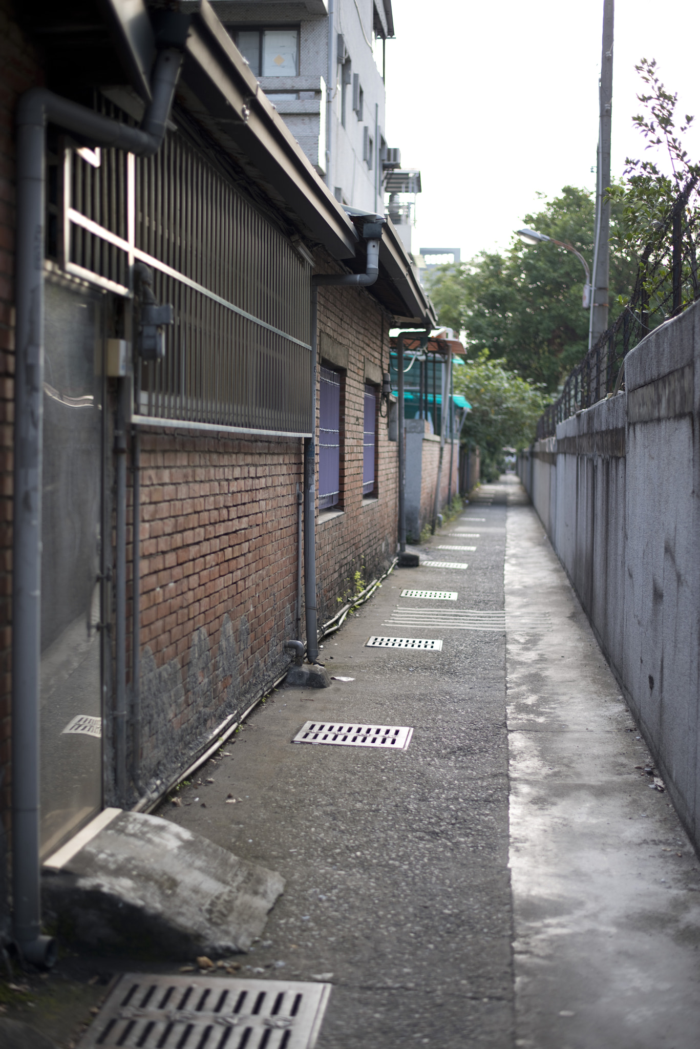 FSA-L2, EDG 65, 800mm F13 G sample photo. Walk in taichung city photography