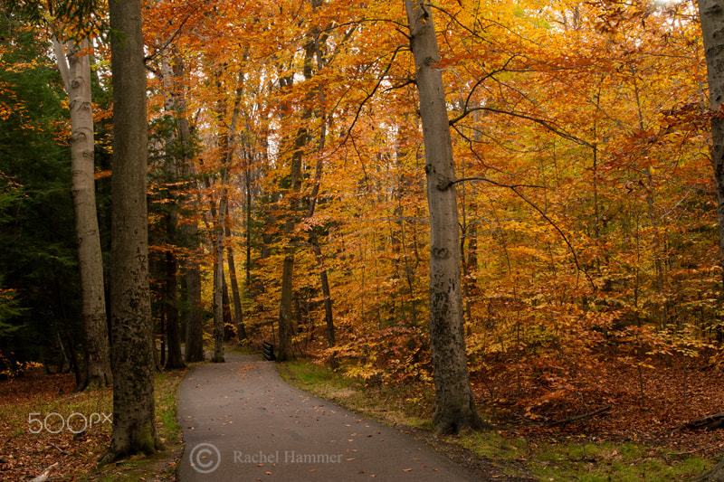 AF Zoom-Nikkor 28-80mm f/3.5-5.6D sample photo. Alone on the trail photography