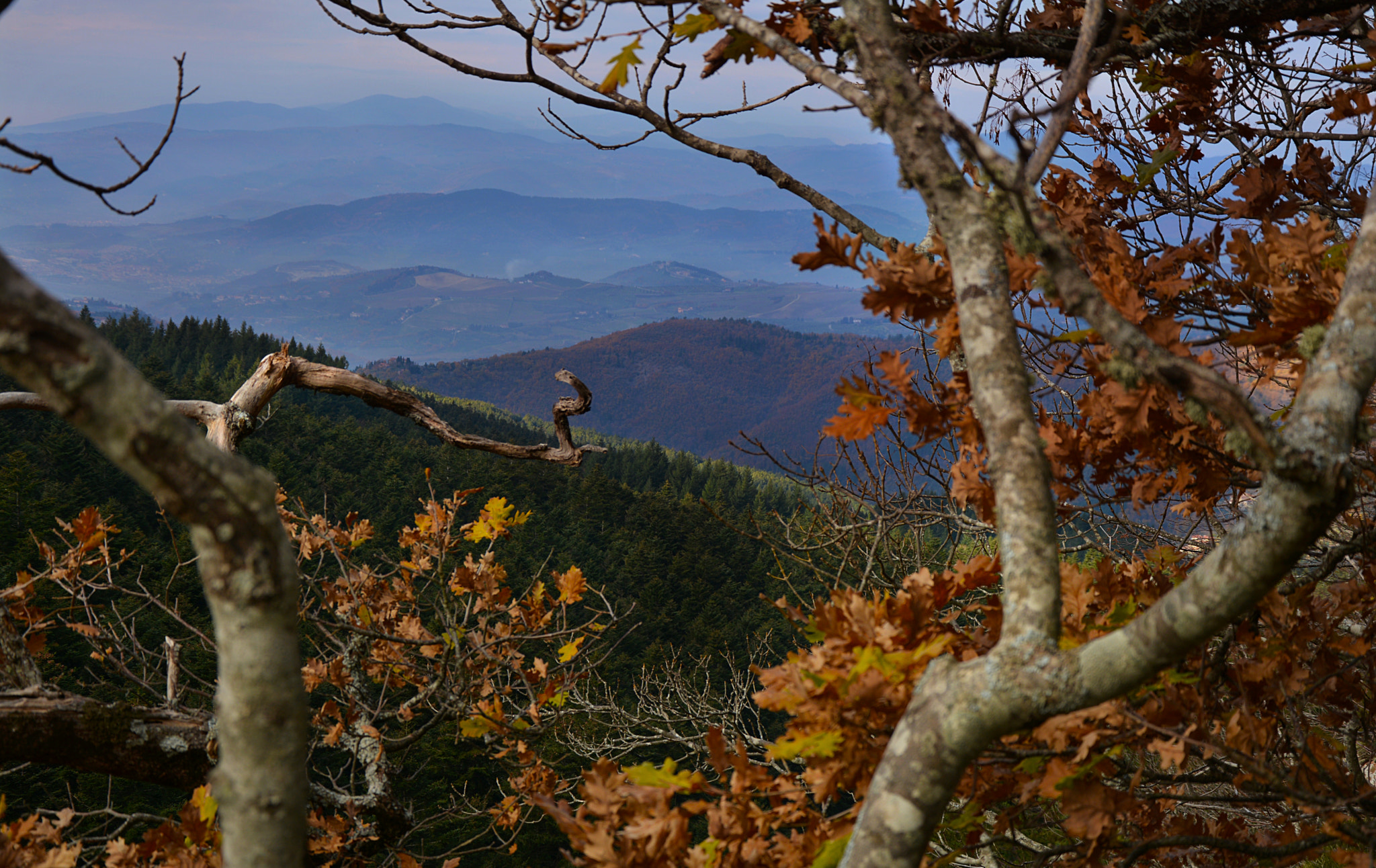 Nikon D7100 + AF Nikkor 20mm f/2.8 sample photo. Vallombrosa photography