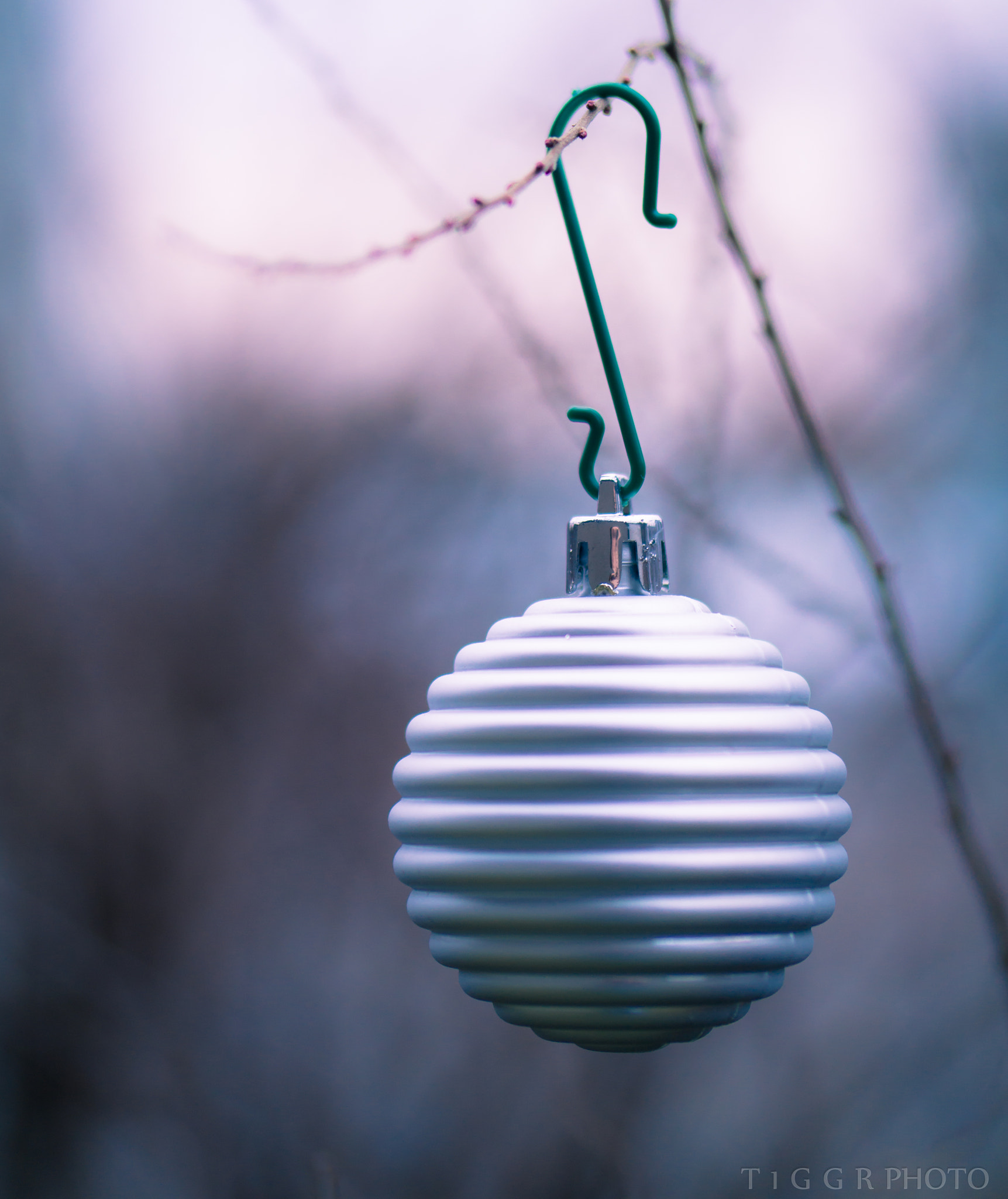 Samsung NX 60mm F2.8 Macro ED OIS SSA sample photo. Time to decorate photography