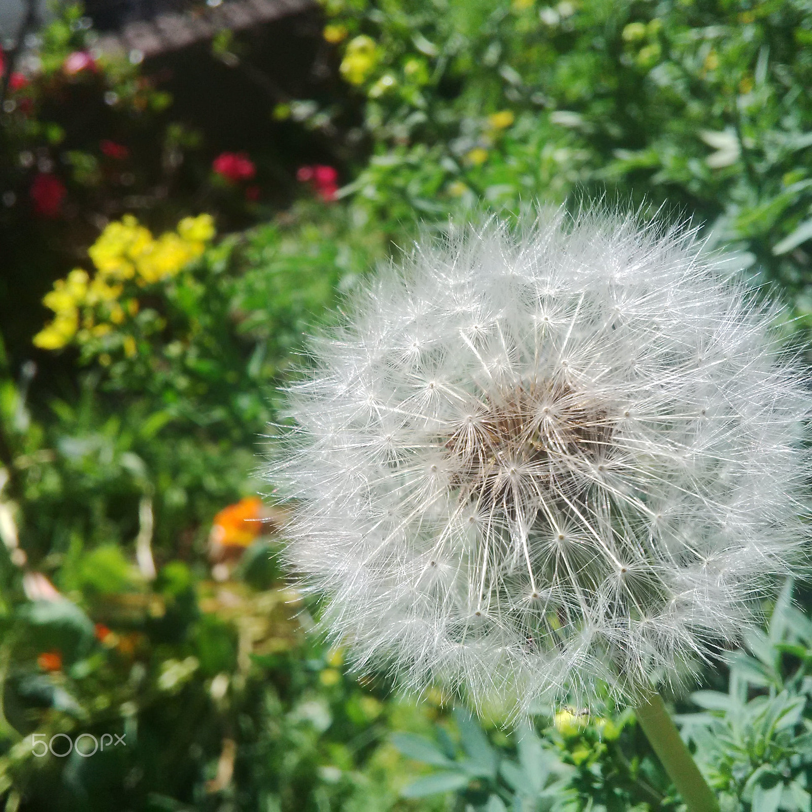 BlackBerry Q5 sample photo. Img_20151101_155507.jpg photography