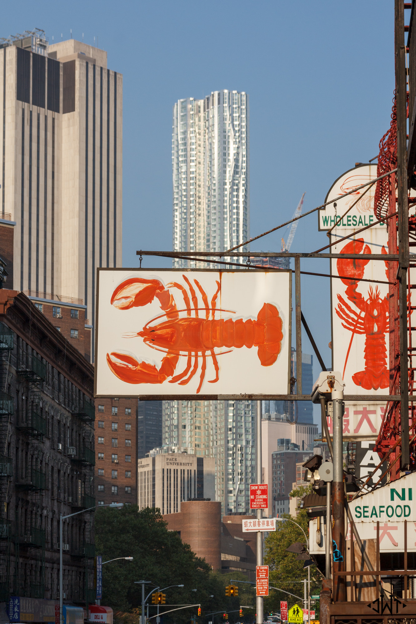 Sigma 17-70mm F2.8-4 DC Macro OS HSM sample photo. Chinatown lobster photography