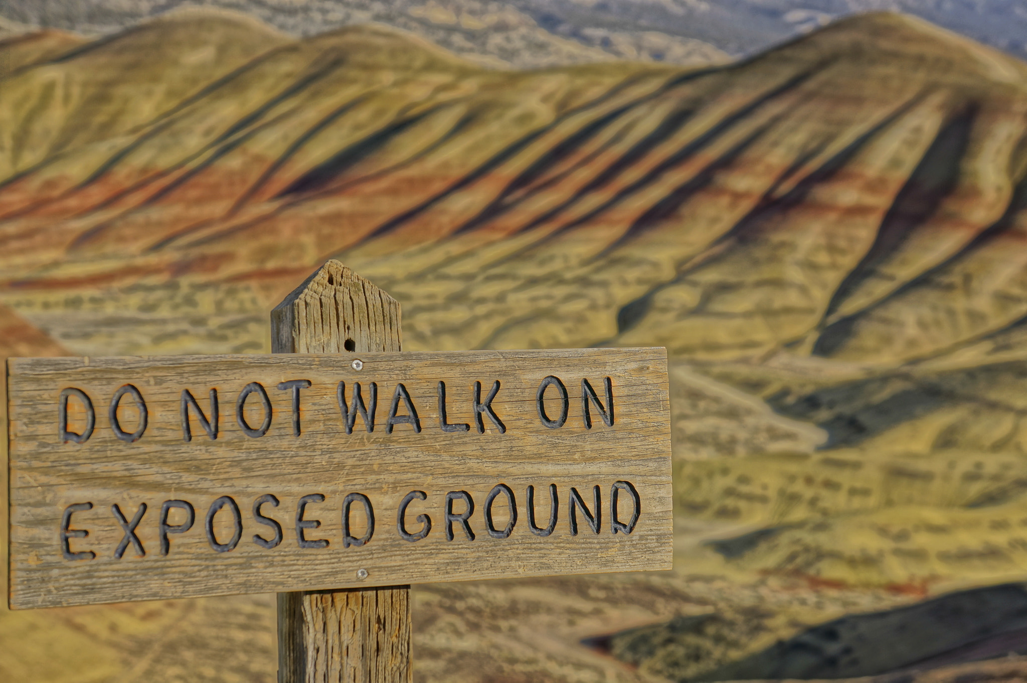 Sony FE 28-70mm F3.5-5.6 OSS sample photo. Painted hills, oregon photography