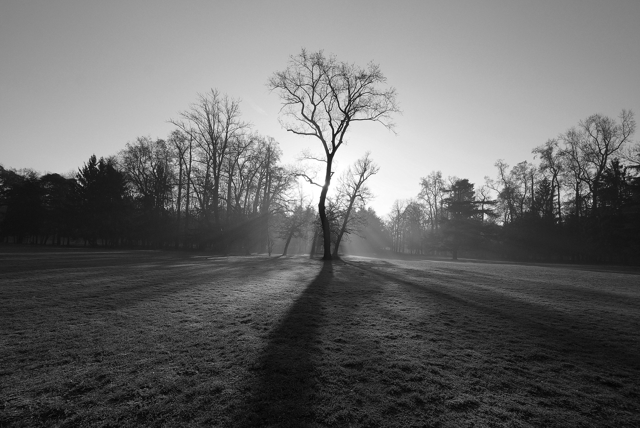 Sony SLT-A77 + 10-20mm F3.5 sample photo. Backlight photography