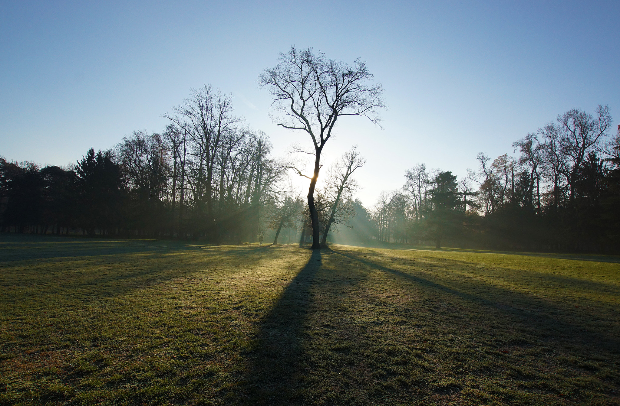 Sony SLT-A77 + 10-20mm F3.5 sample photo. Backlight color photography