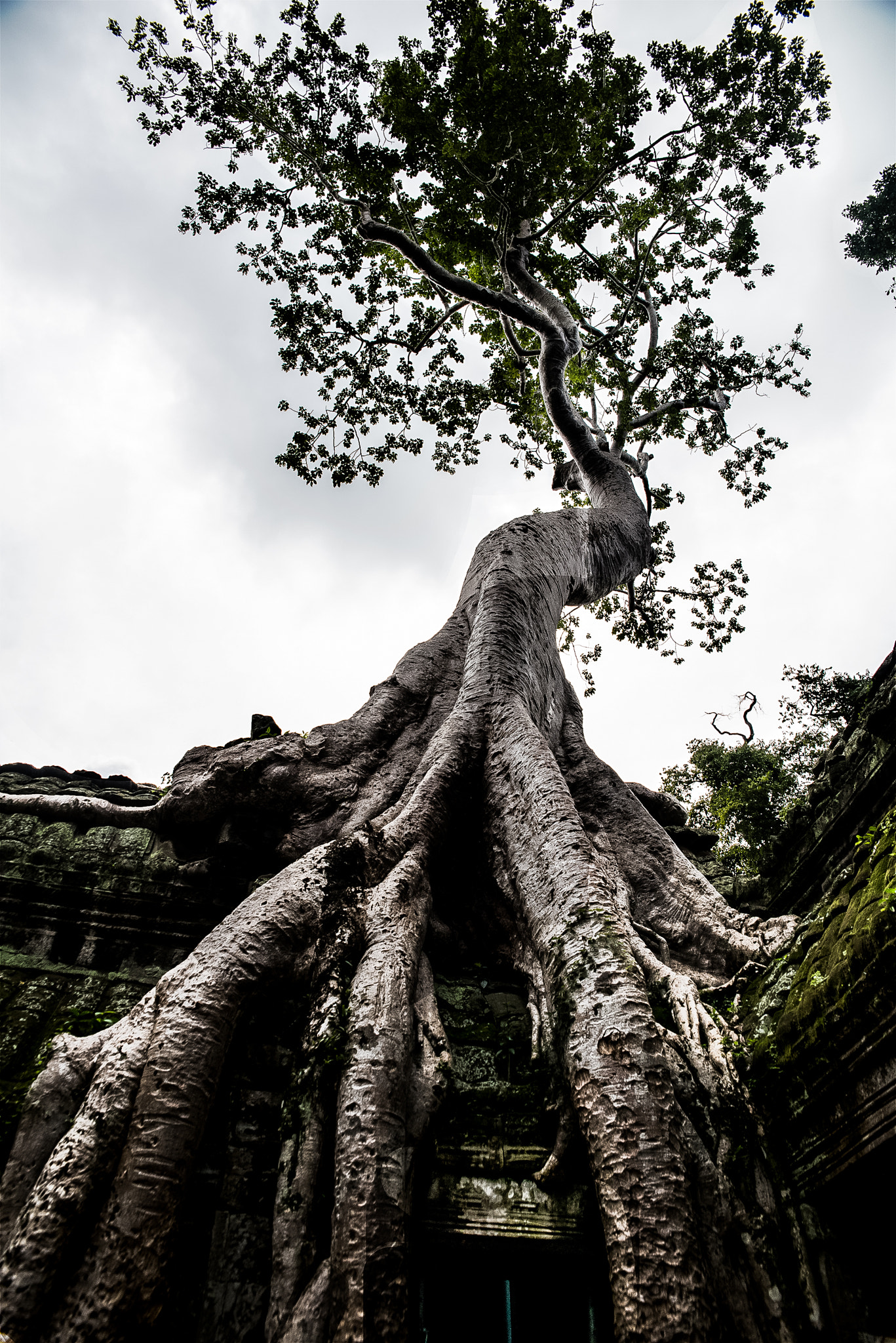 Sigma 24-70mm F2.8 EX DG HSM sample photo. Cambodia photography