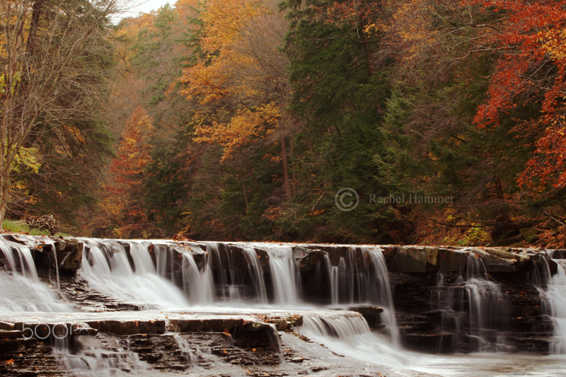 AF Zoom-Nikkor 28-80mm f/3.5-5.6D sample photo. Fall symphony photography