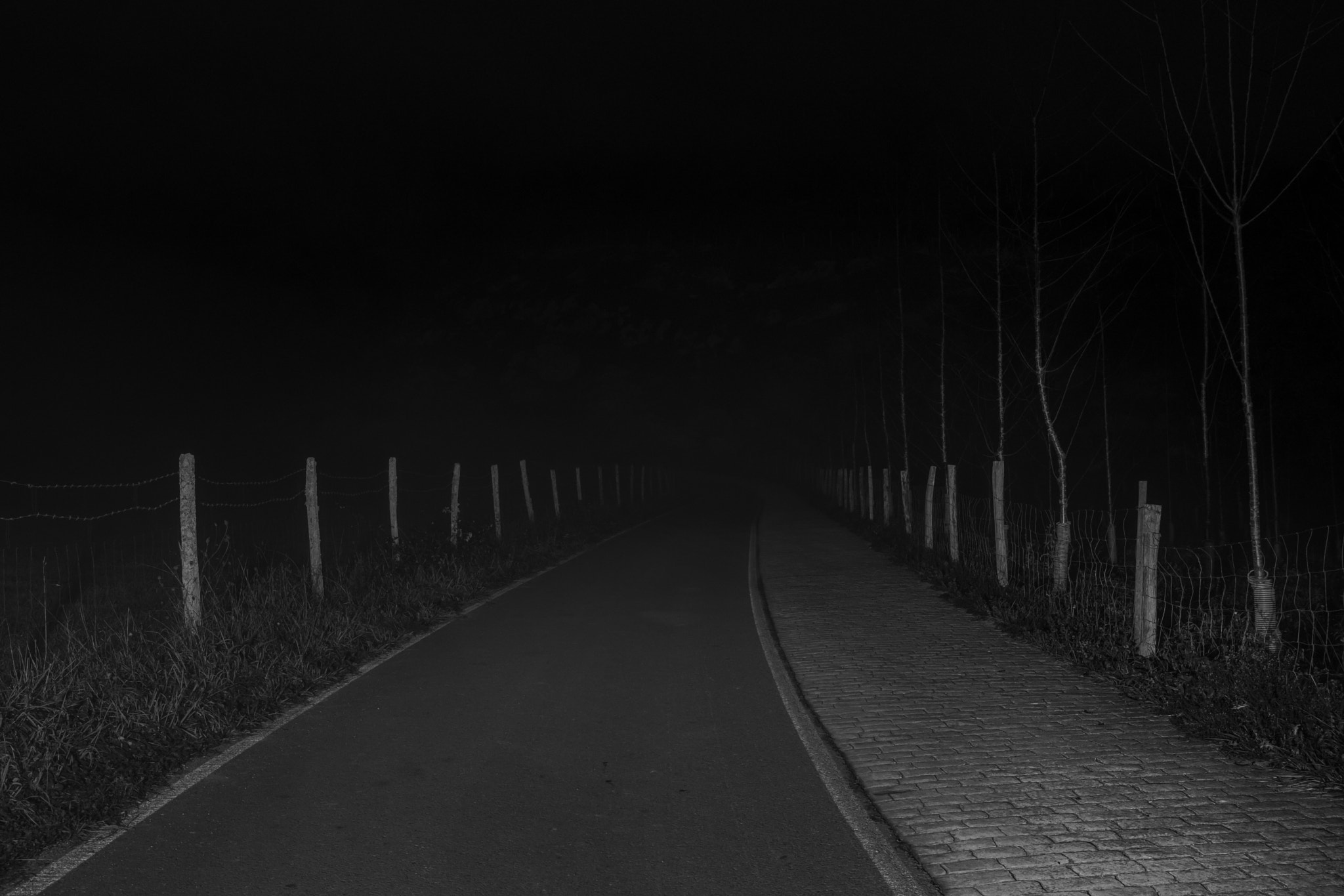 Tamron SP 24-70mm F2.8 Di VC USD sample photo. Dark road photography