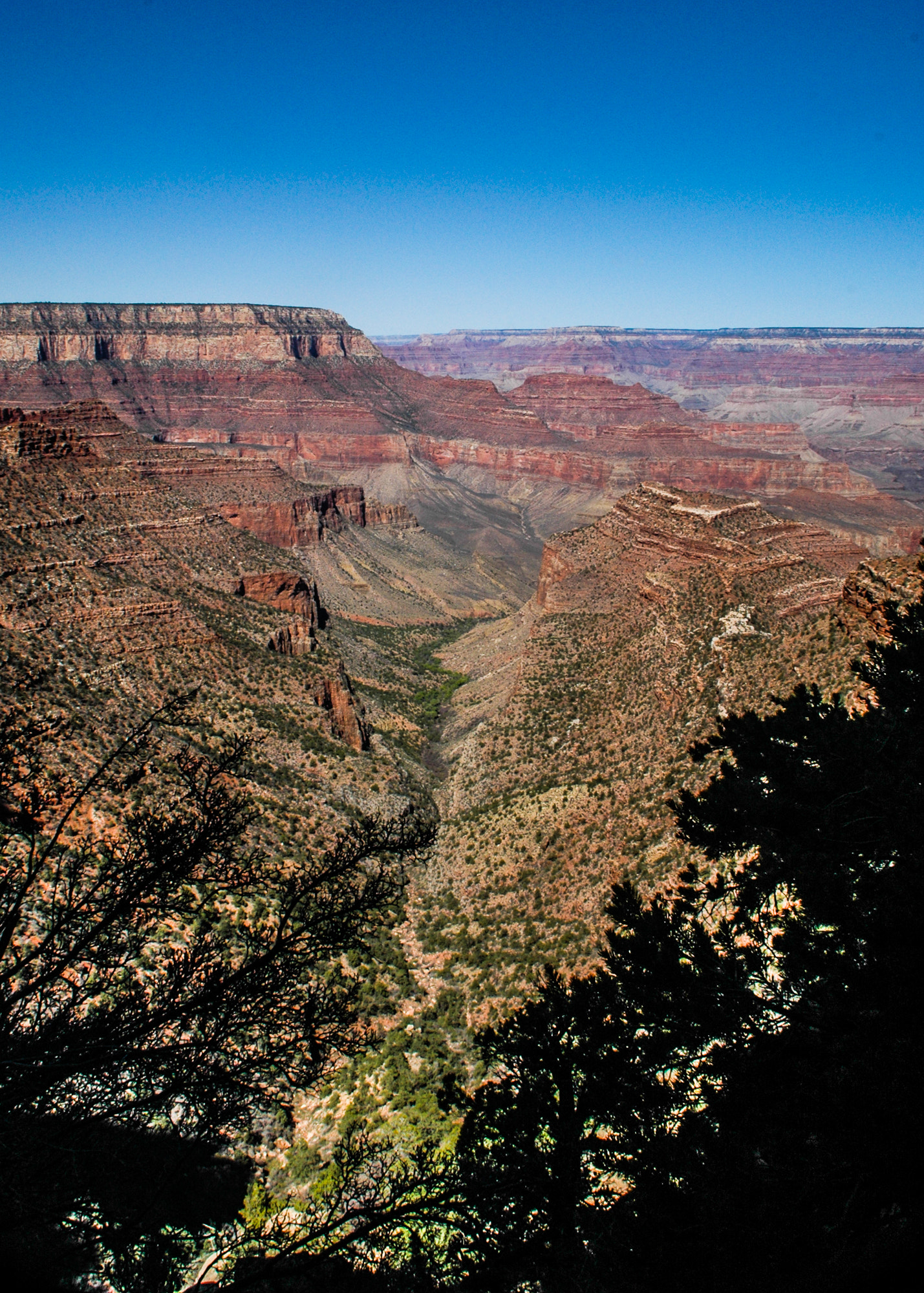 Nikon D70s sample photo. Grand canyon color photography